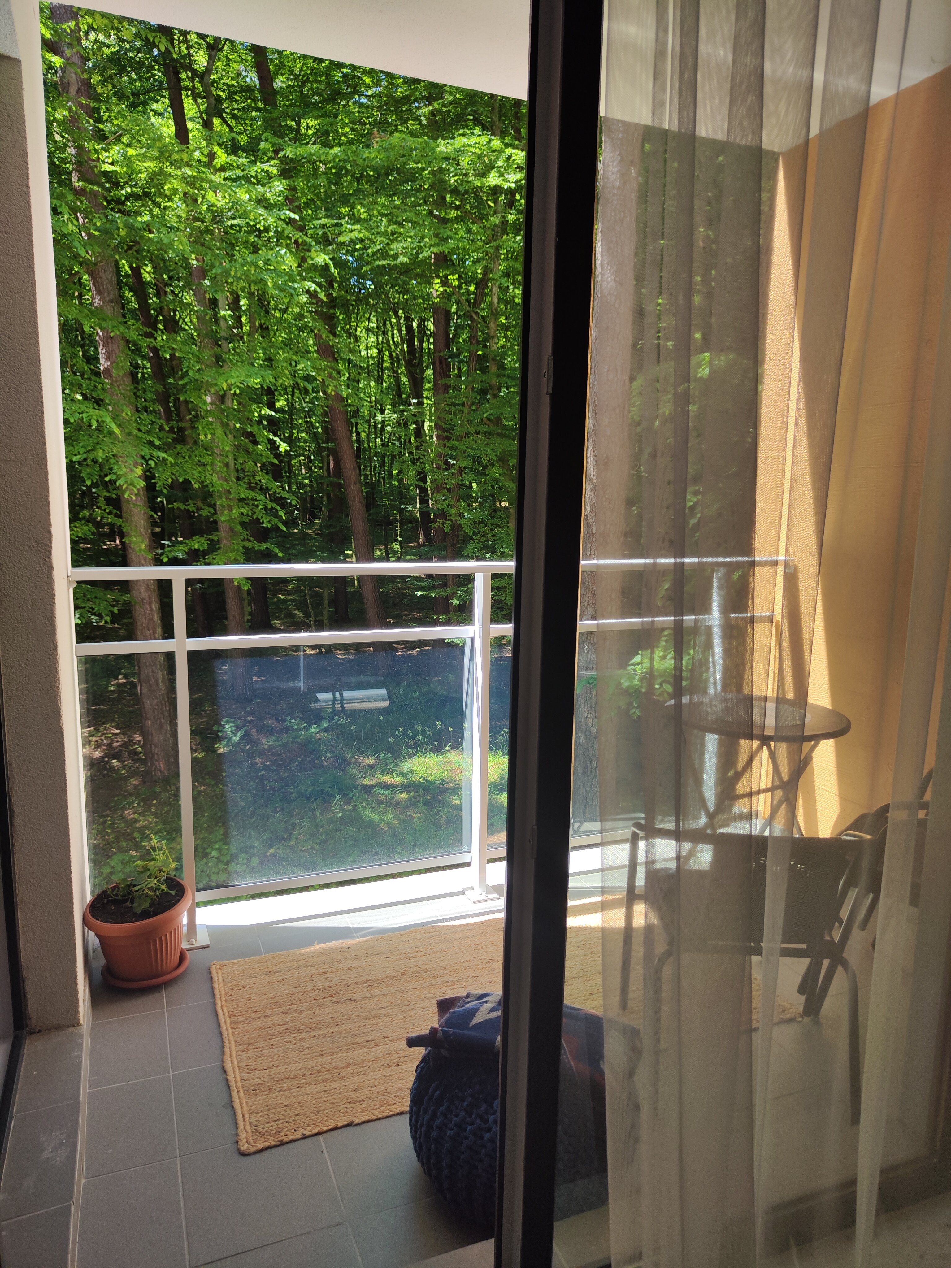 Фото С окнами на сосновый лес!