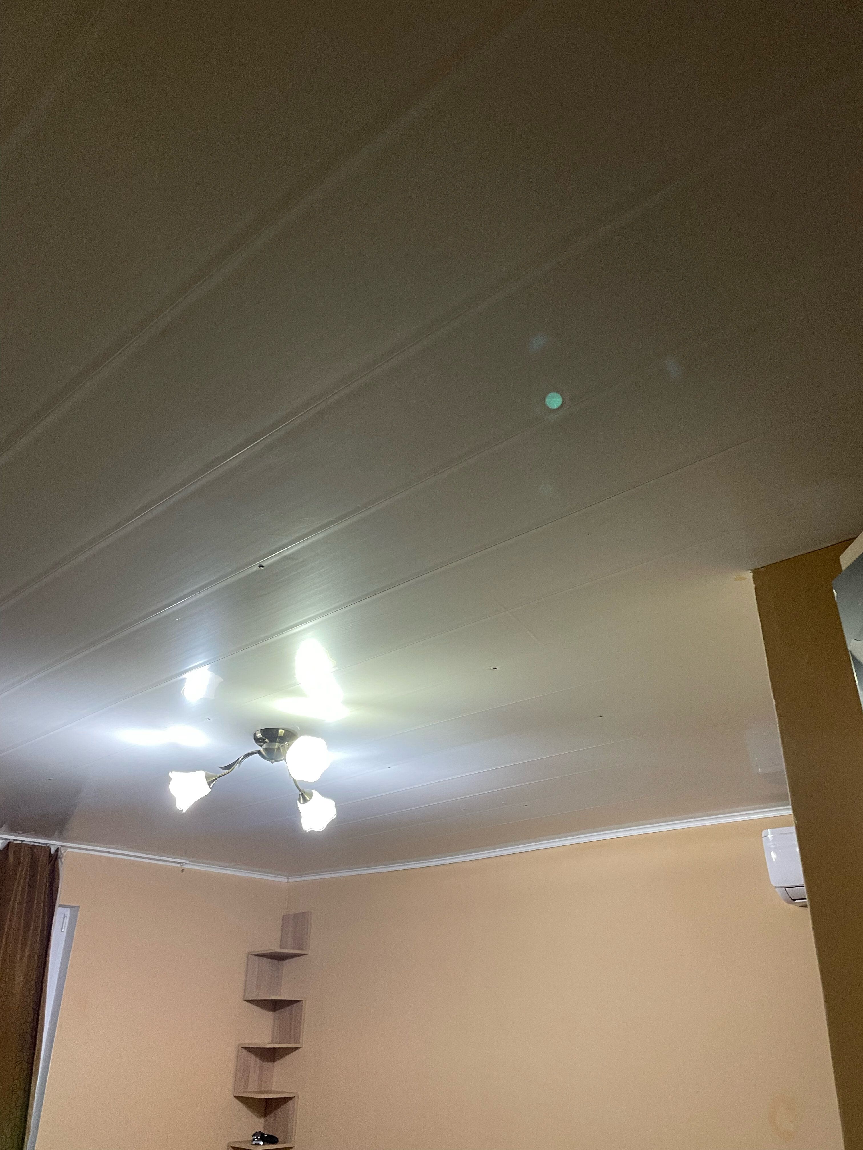 Фото Фиолентовский