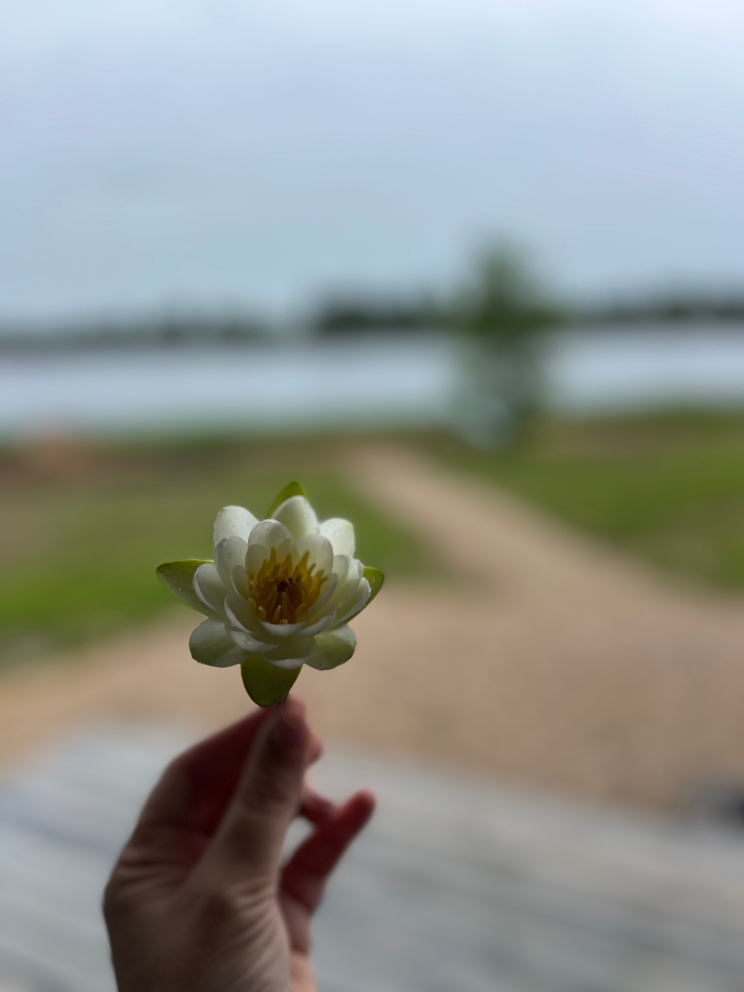 Фото Мыза Иногоща