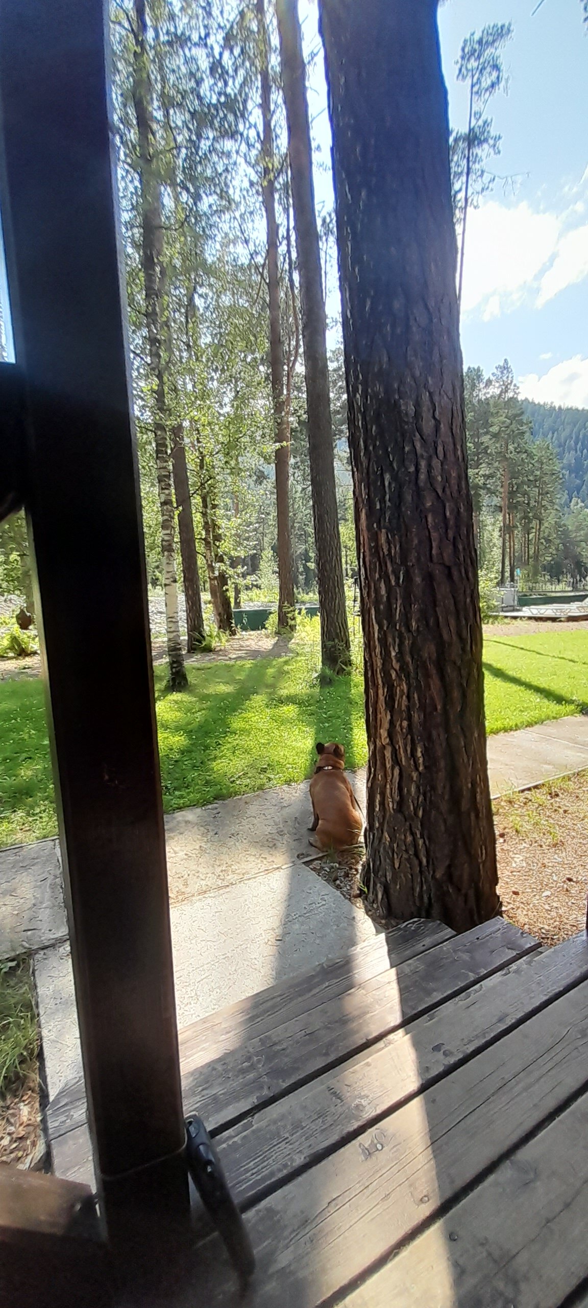 Фото Эко-парк Алтай Грин