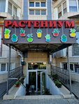 Растениум (Vladimirskaya ulitsa, 120), garden center