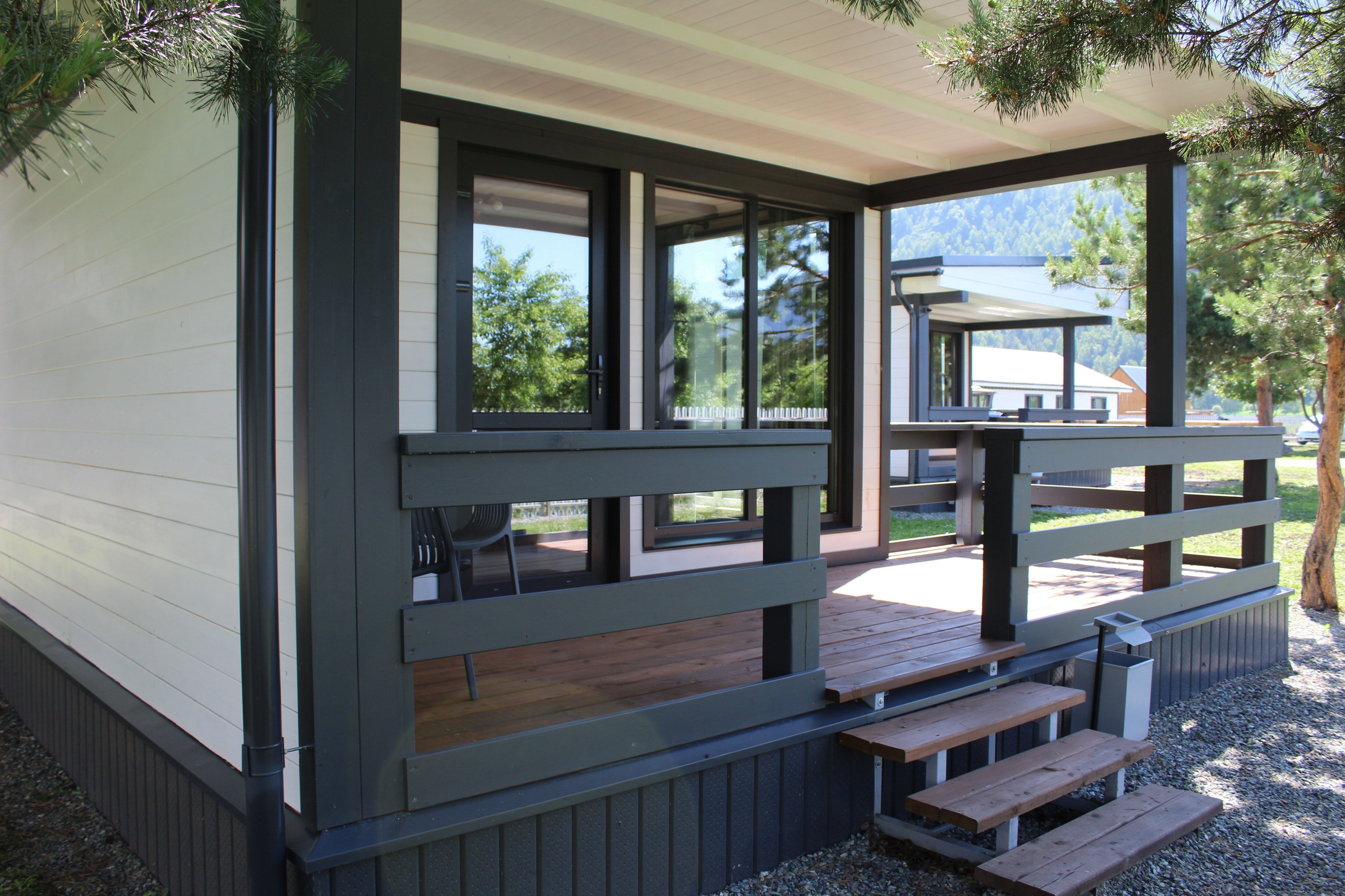 Фото Черника