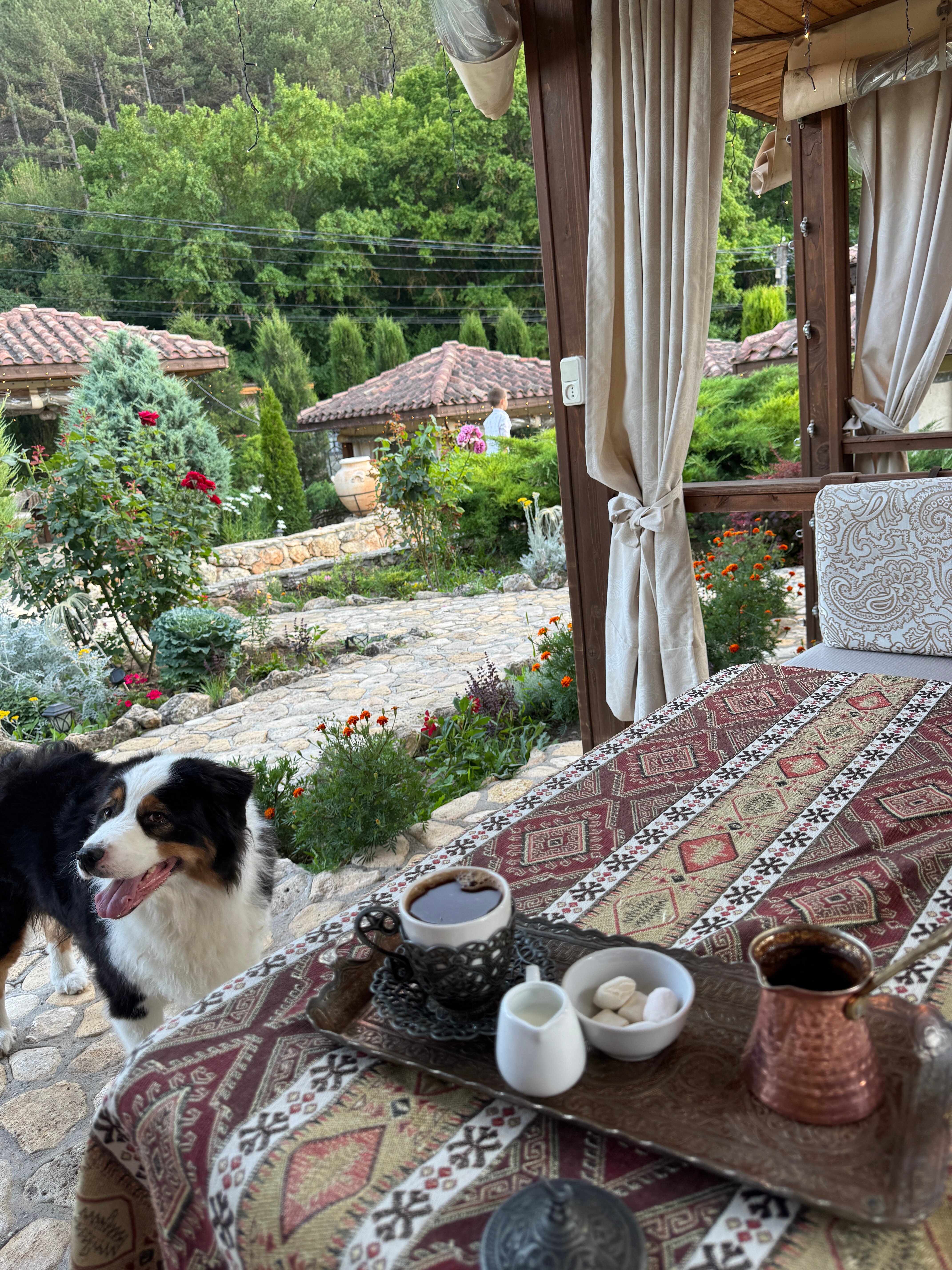 Фото Созвездие Мангуп