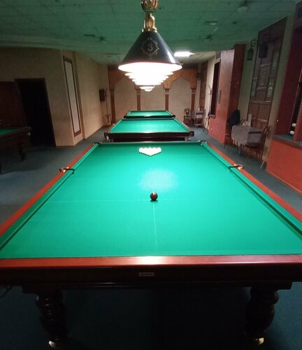 Папоротникті қараңыз