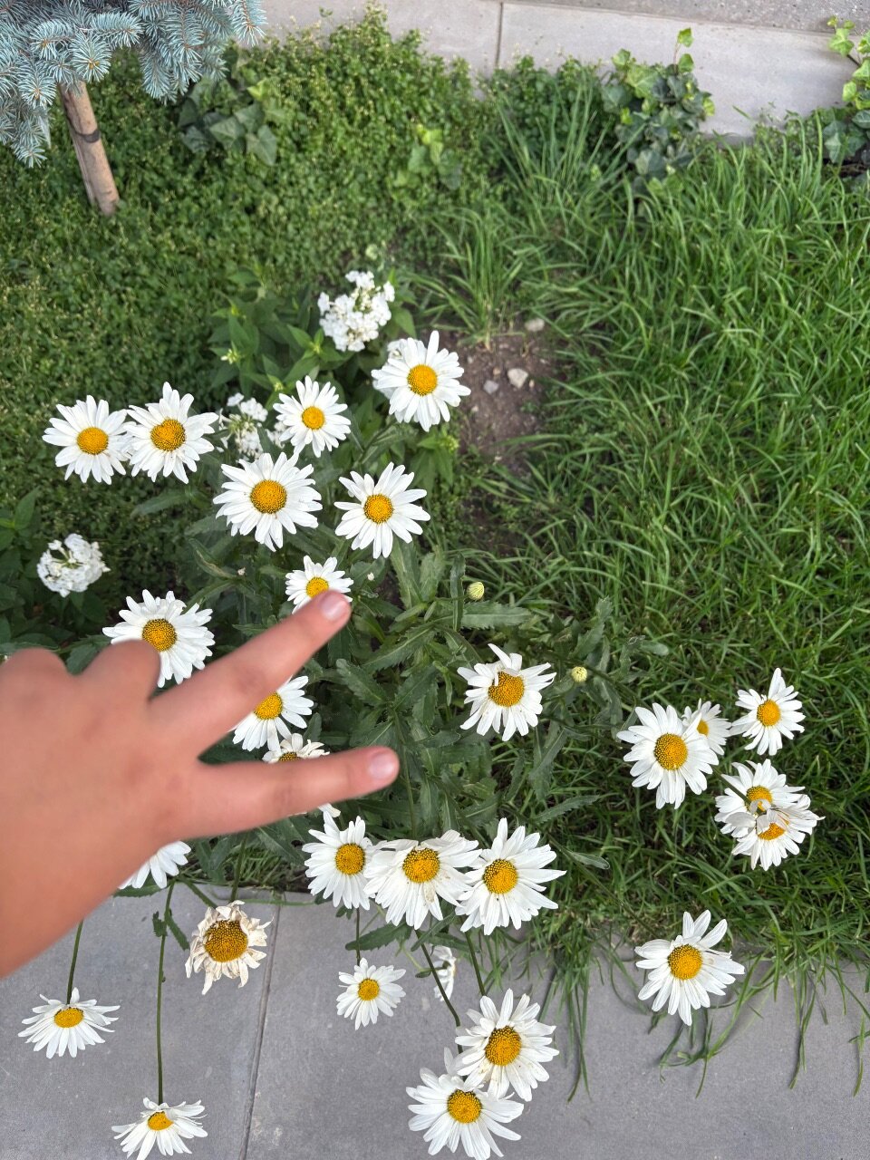 Фото Grand Hotel Gyumri by Apricot Hotels