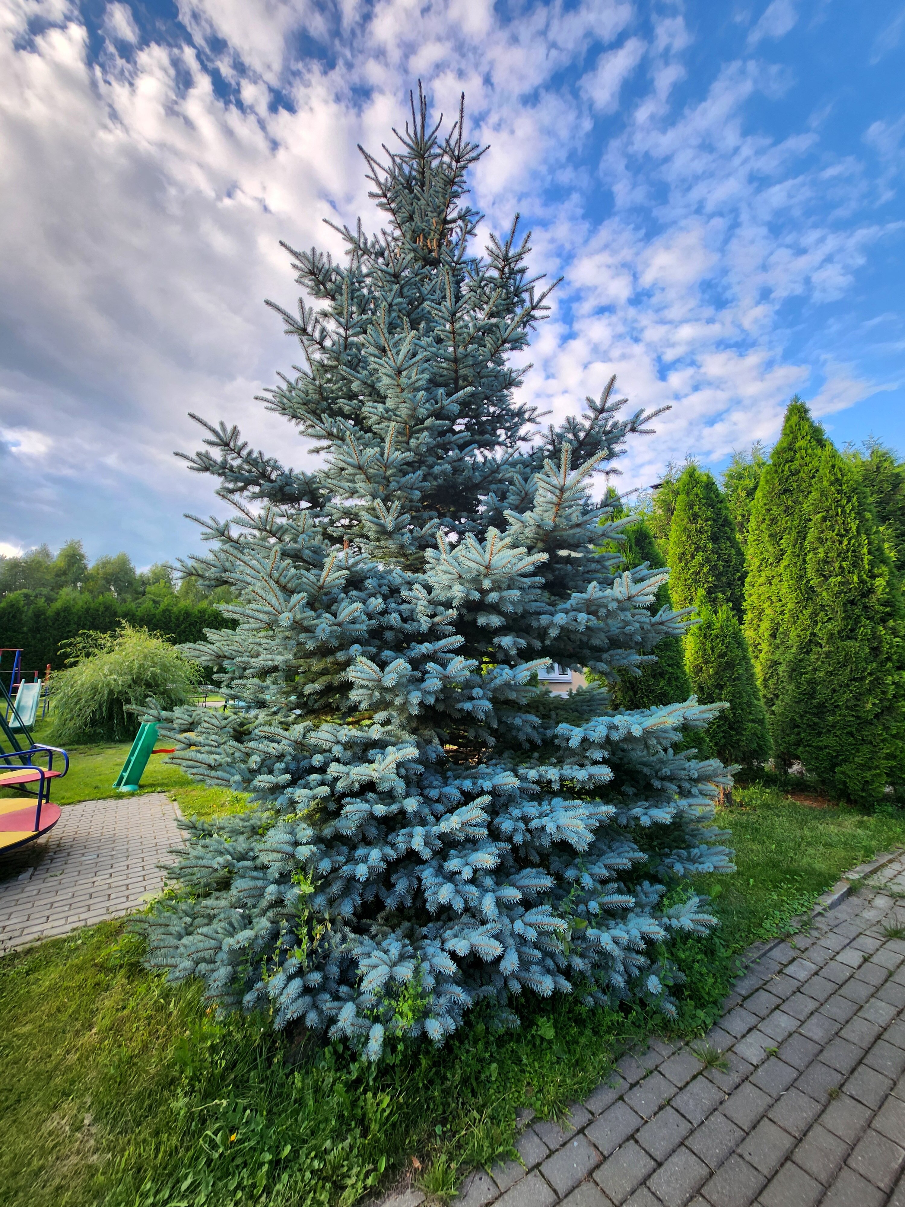 Фото Застава у Оки