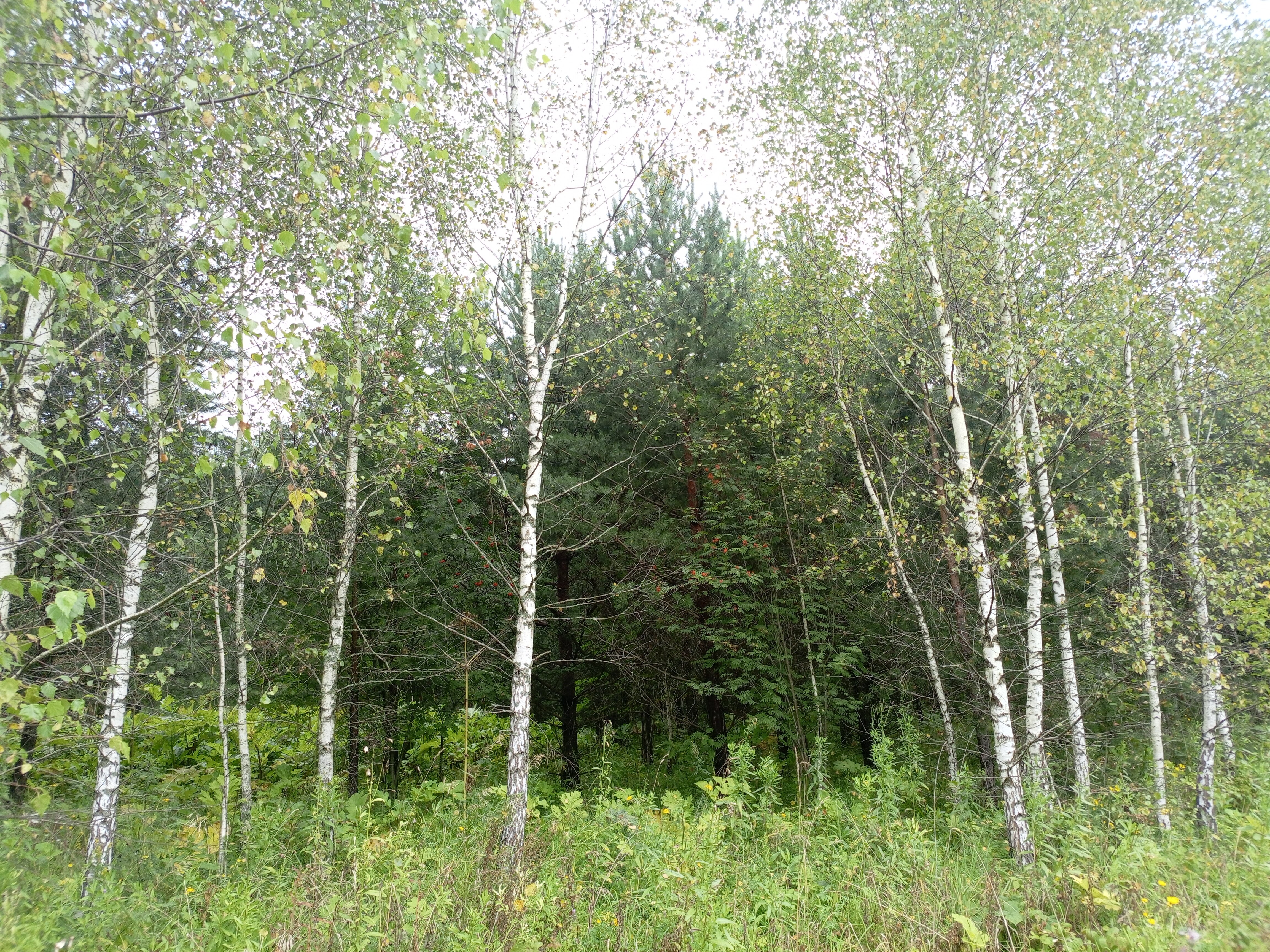 Фото Частный Дом в Балийском Стиле