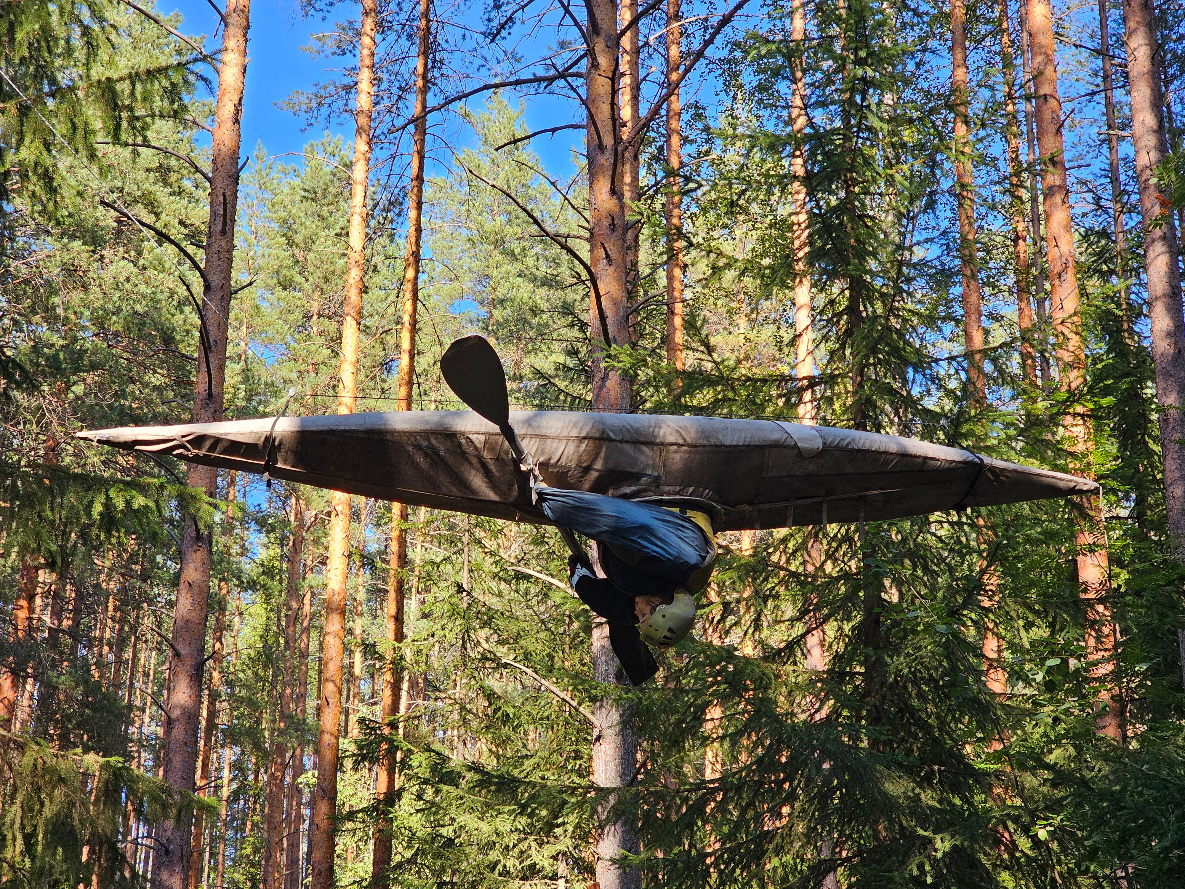 Фото Поляна