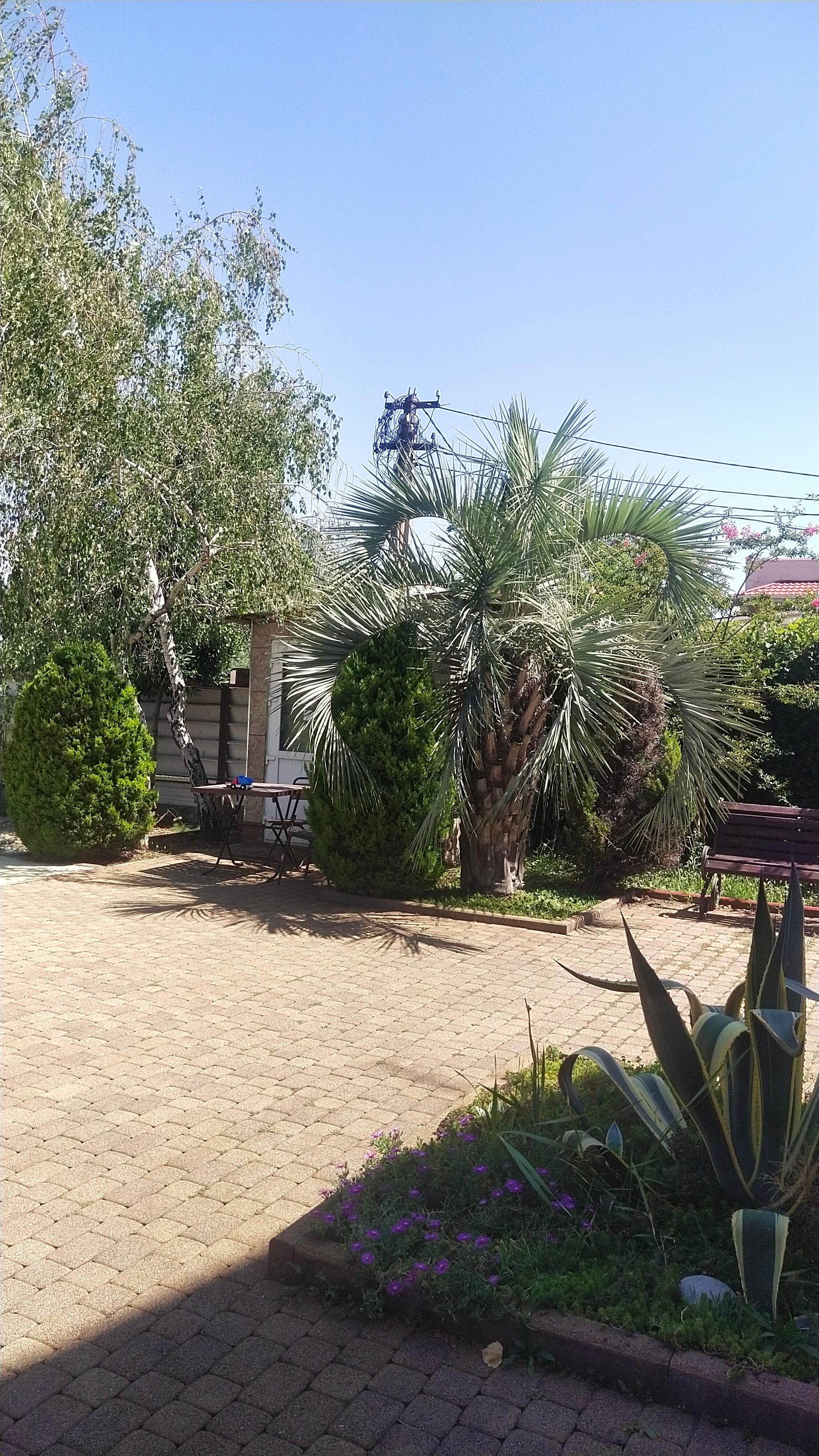 Фото Милана