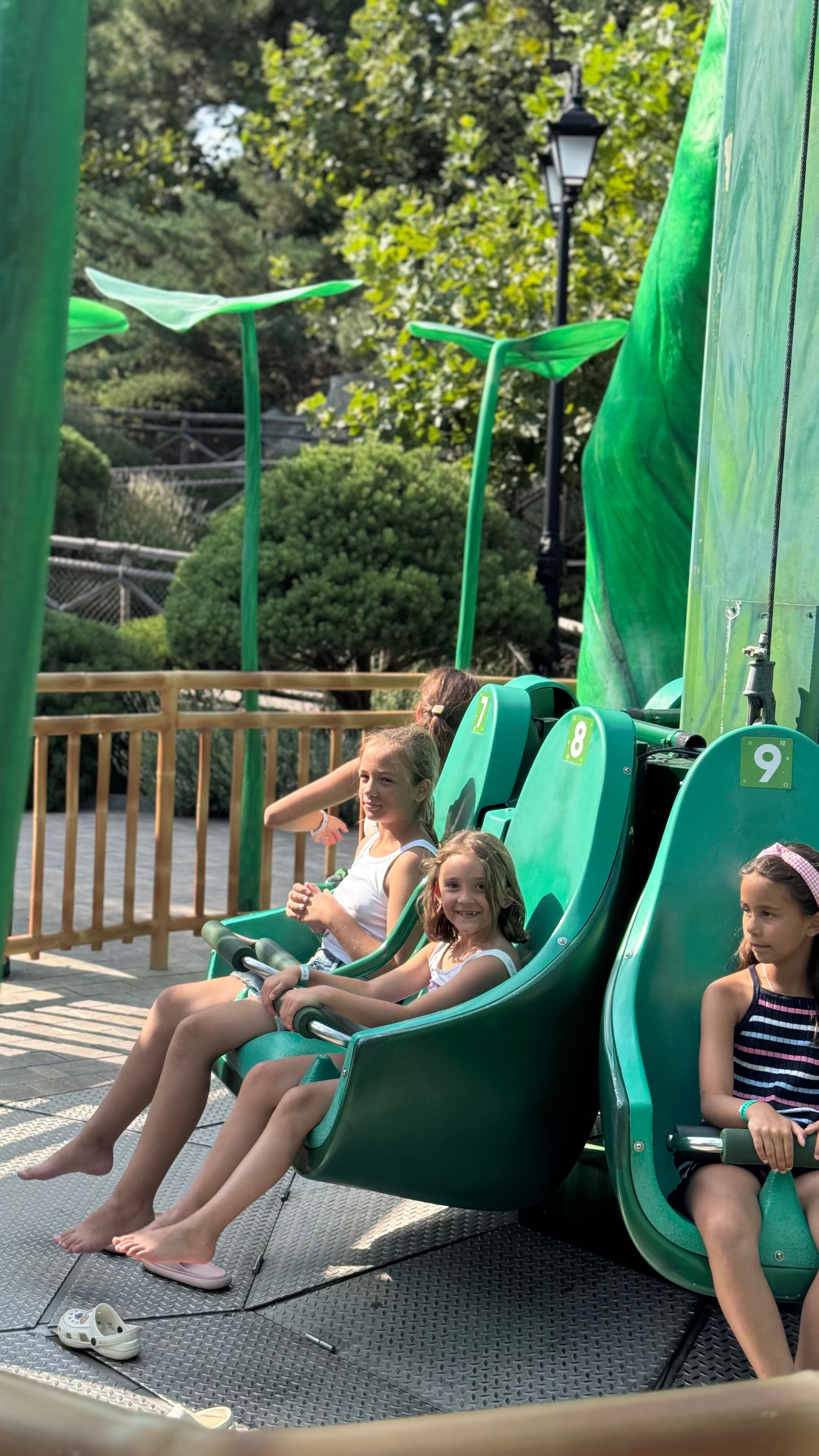 Фото Южный Кедр