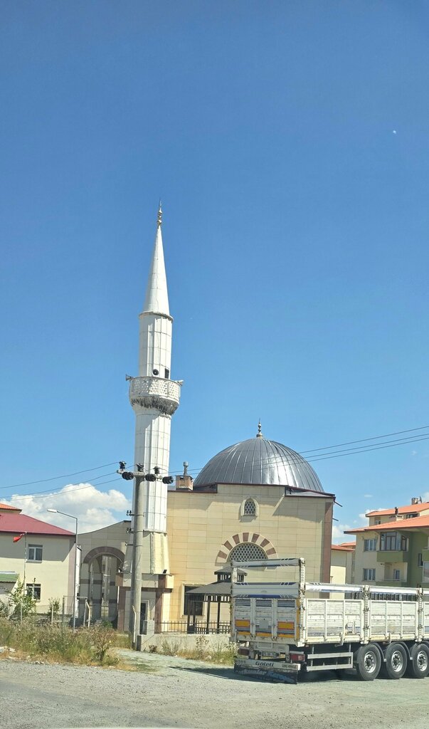 Mosque Toki Mosque, Gole, photo