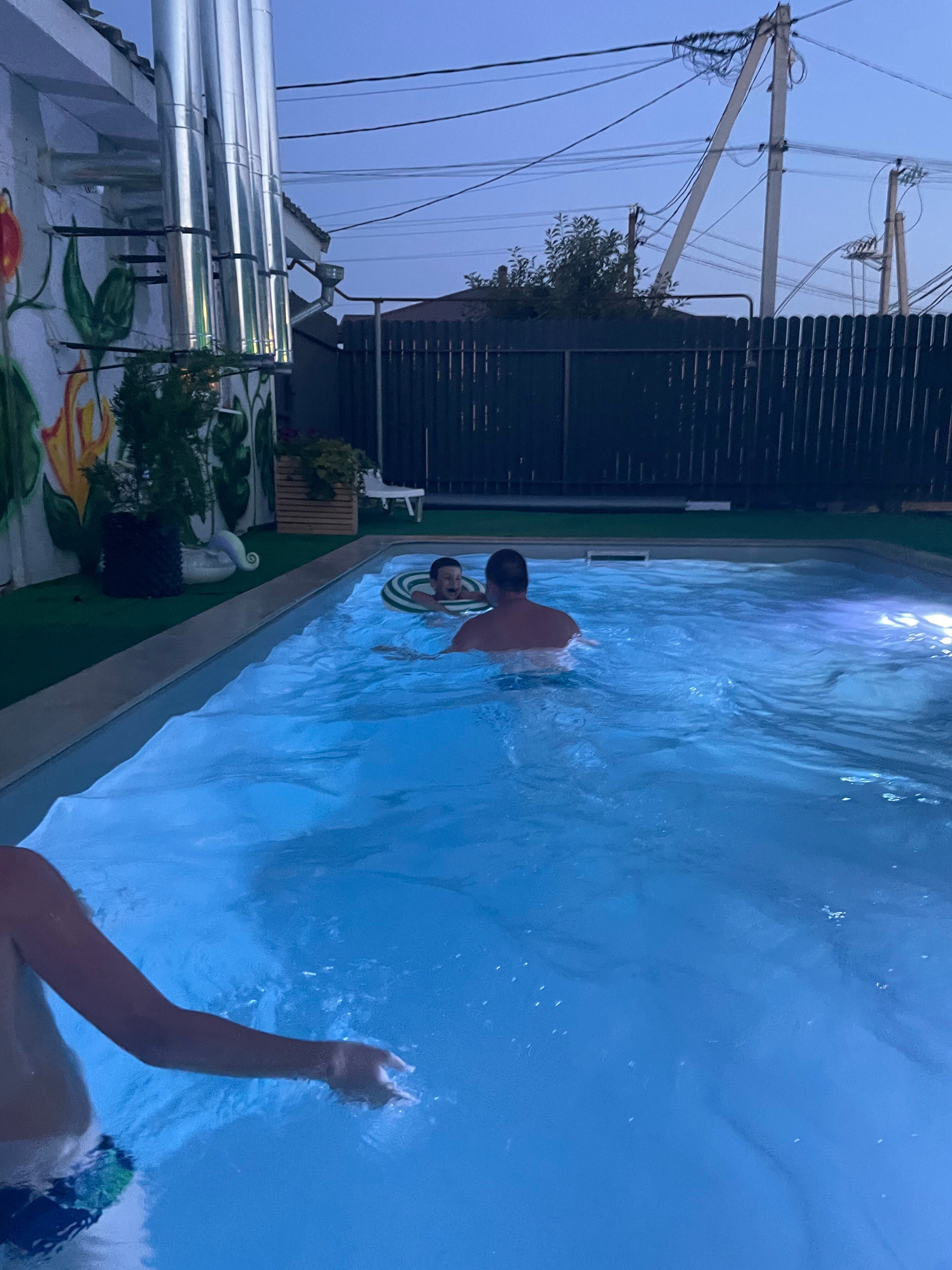 Фото Клевер