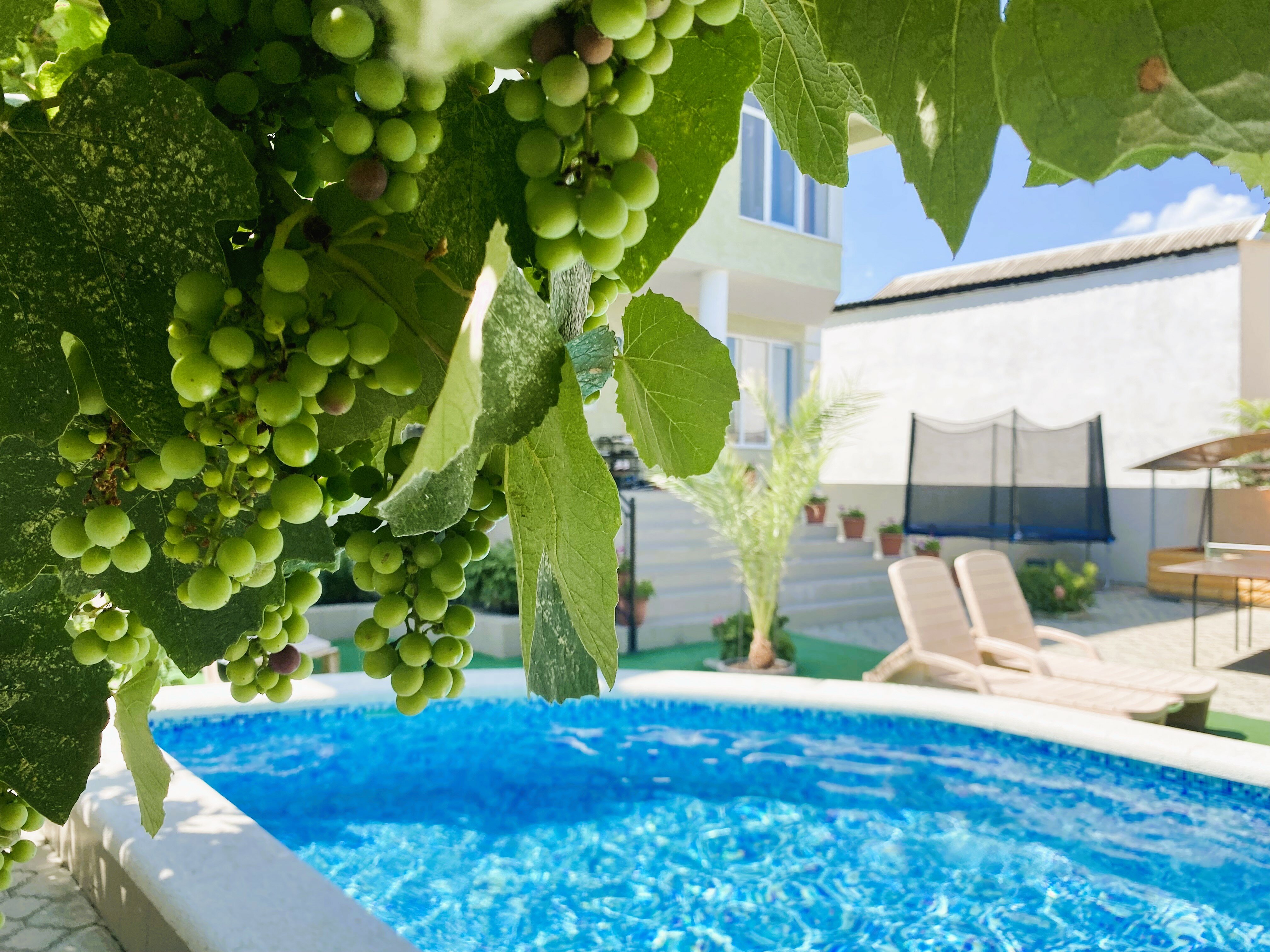 Фото Регион Море