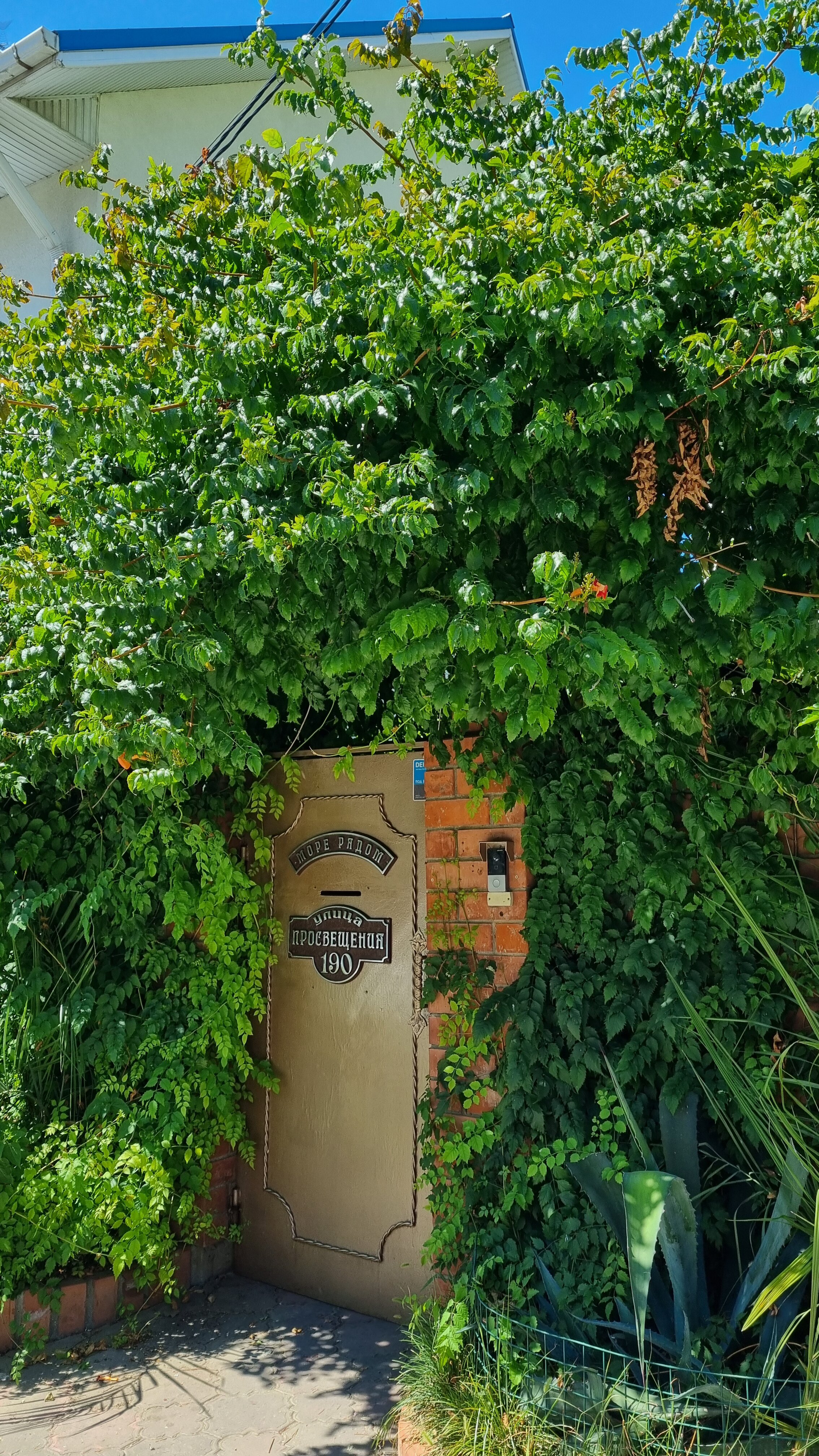 Фото Море Рядом