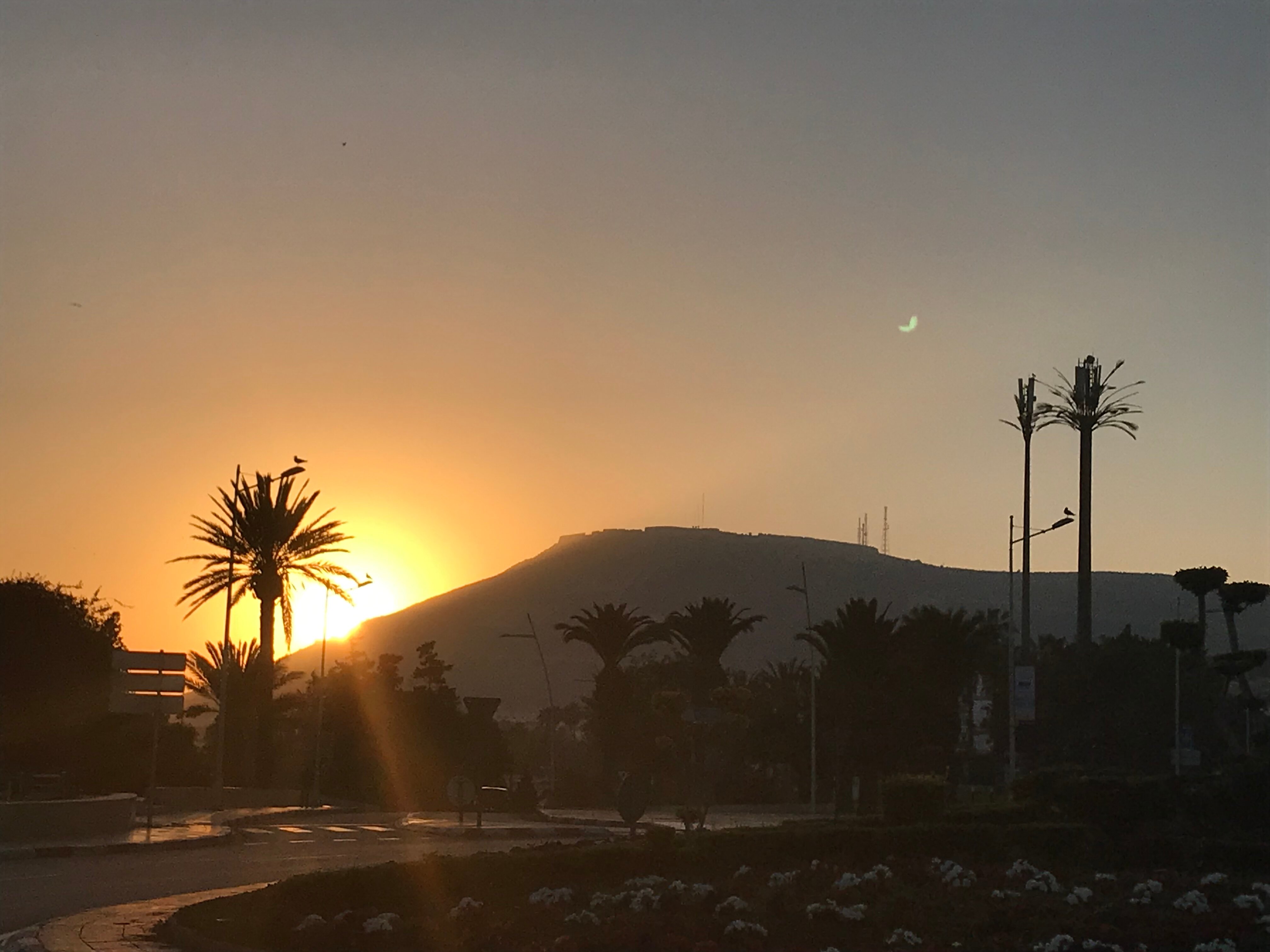 Фото Aferni Hotel