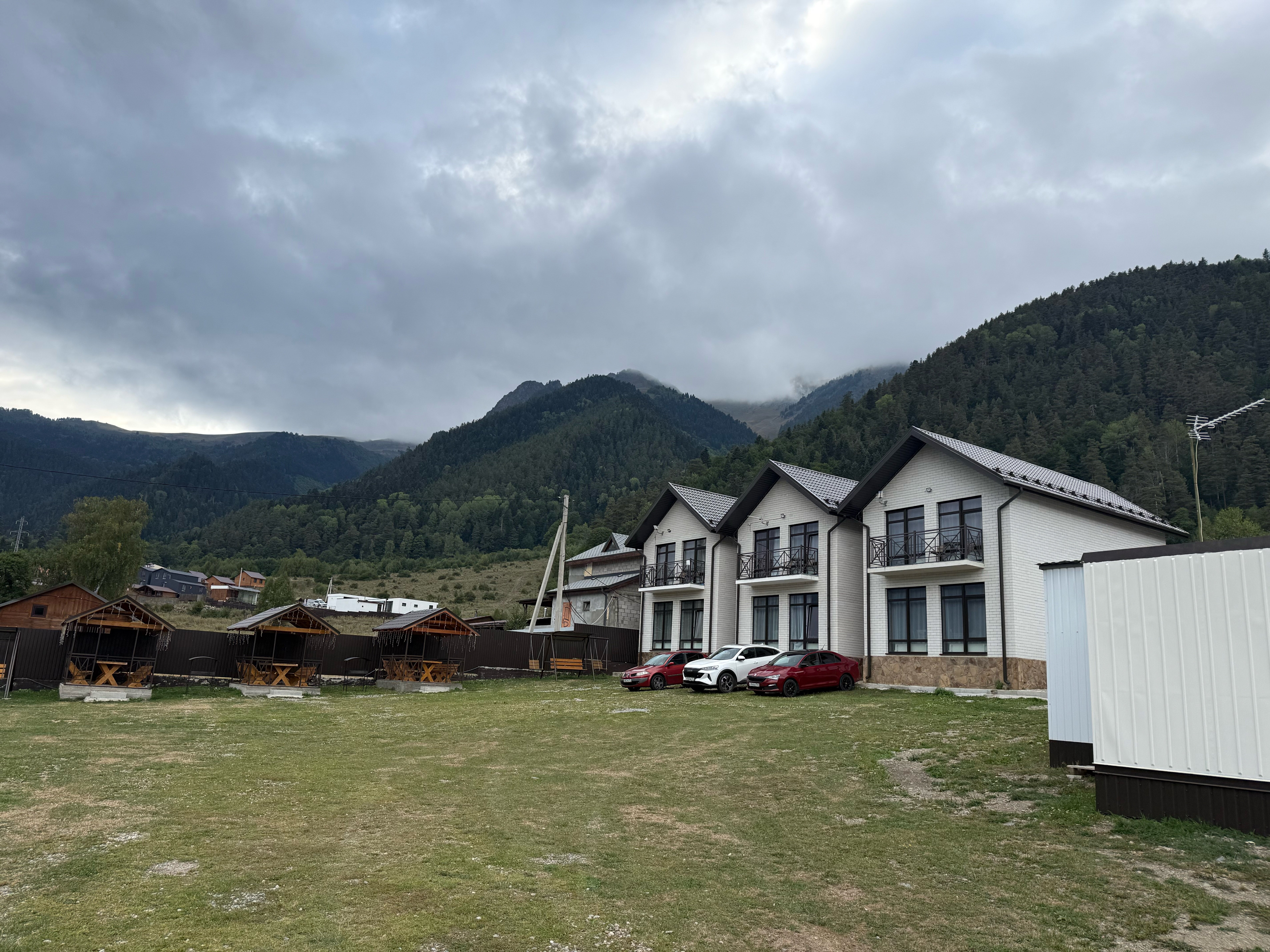 Фото Феникс