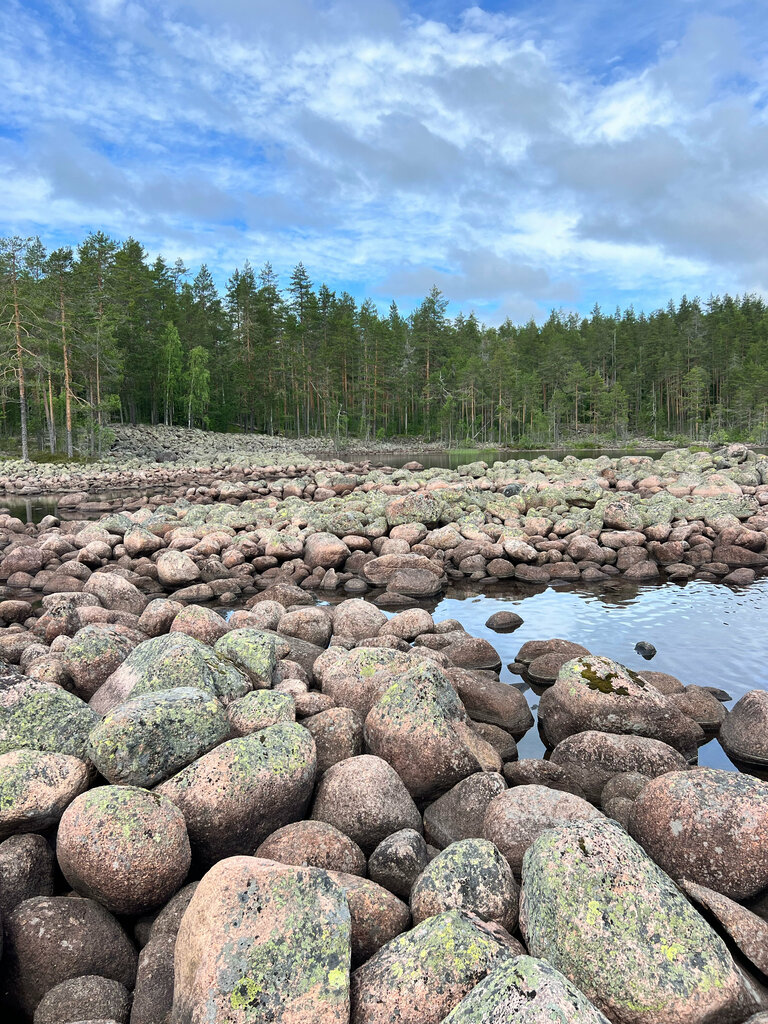Urban forest Моренные озёра, Republic of Karelia, photo