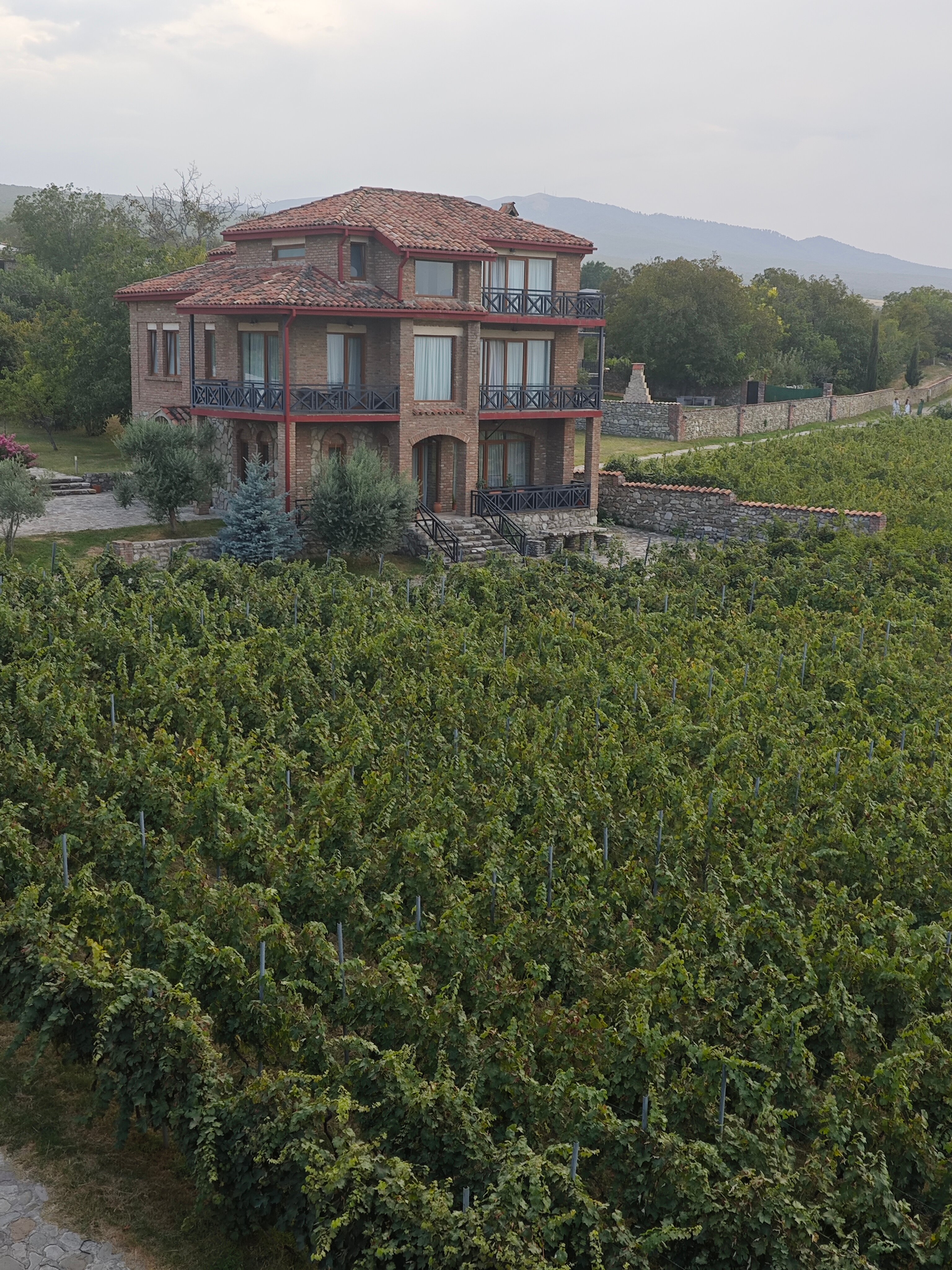 Фото Schuchmann Wines Chateau & SPA