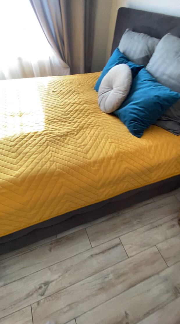 Фото ArtistApart Van Gogh