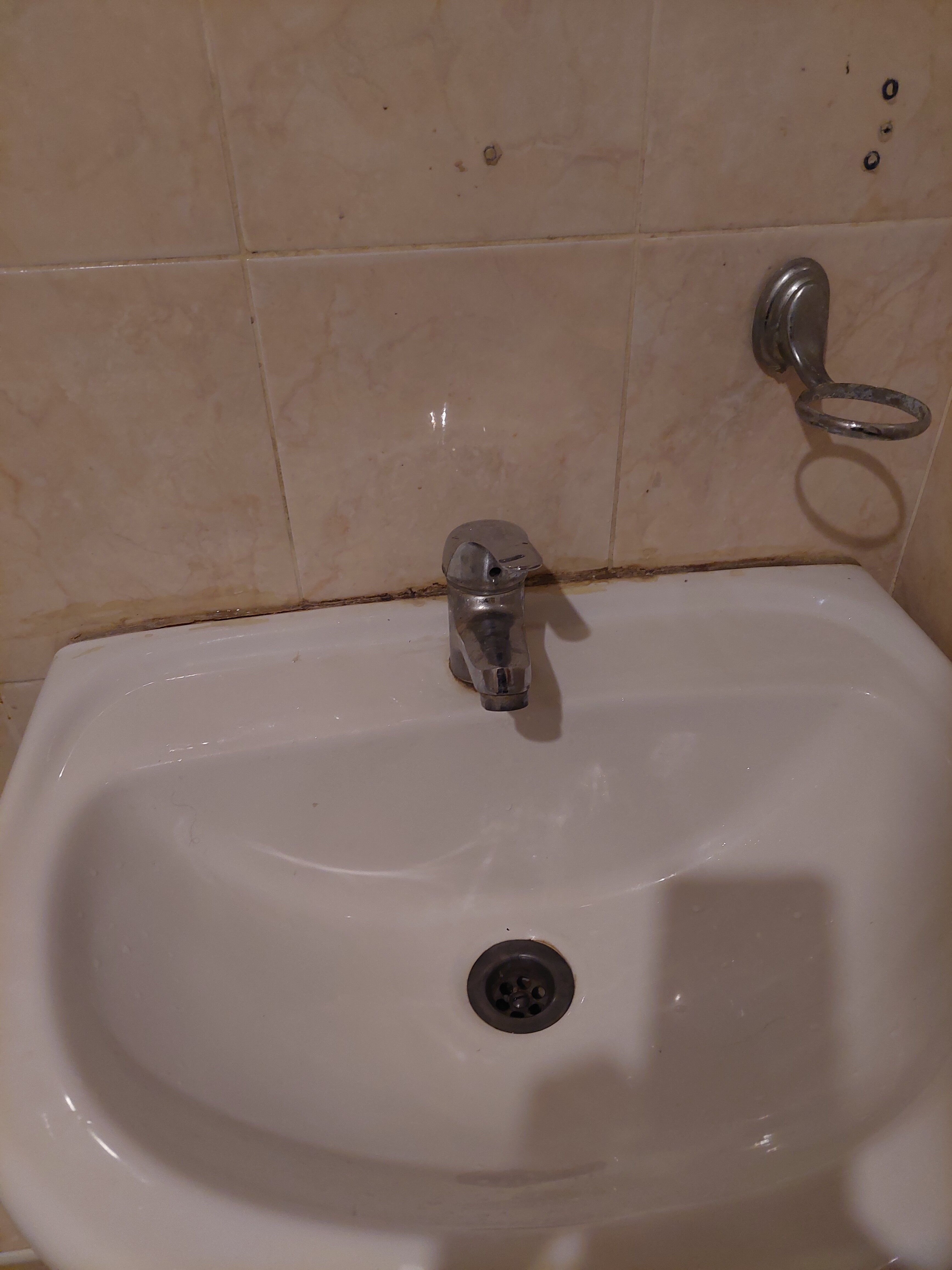 Фото Добрые соседи