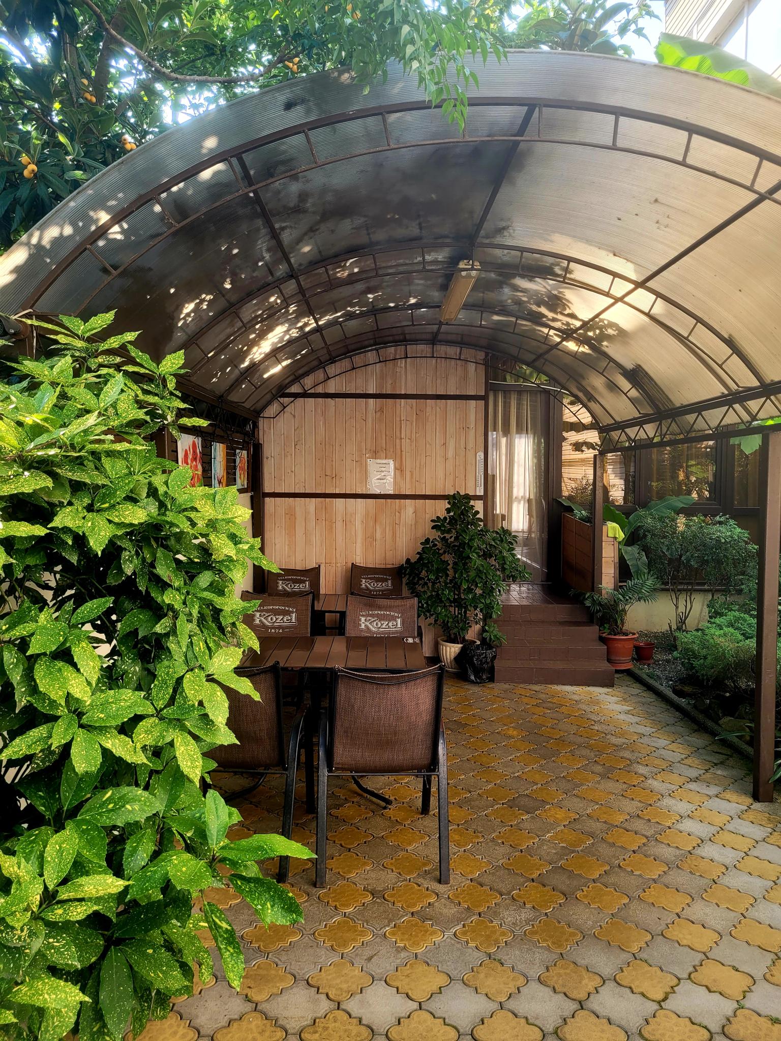 Фото Олимпия 2