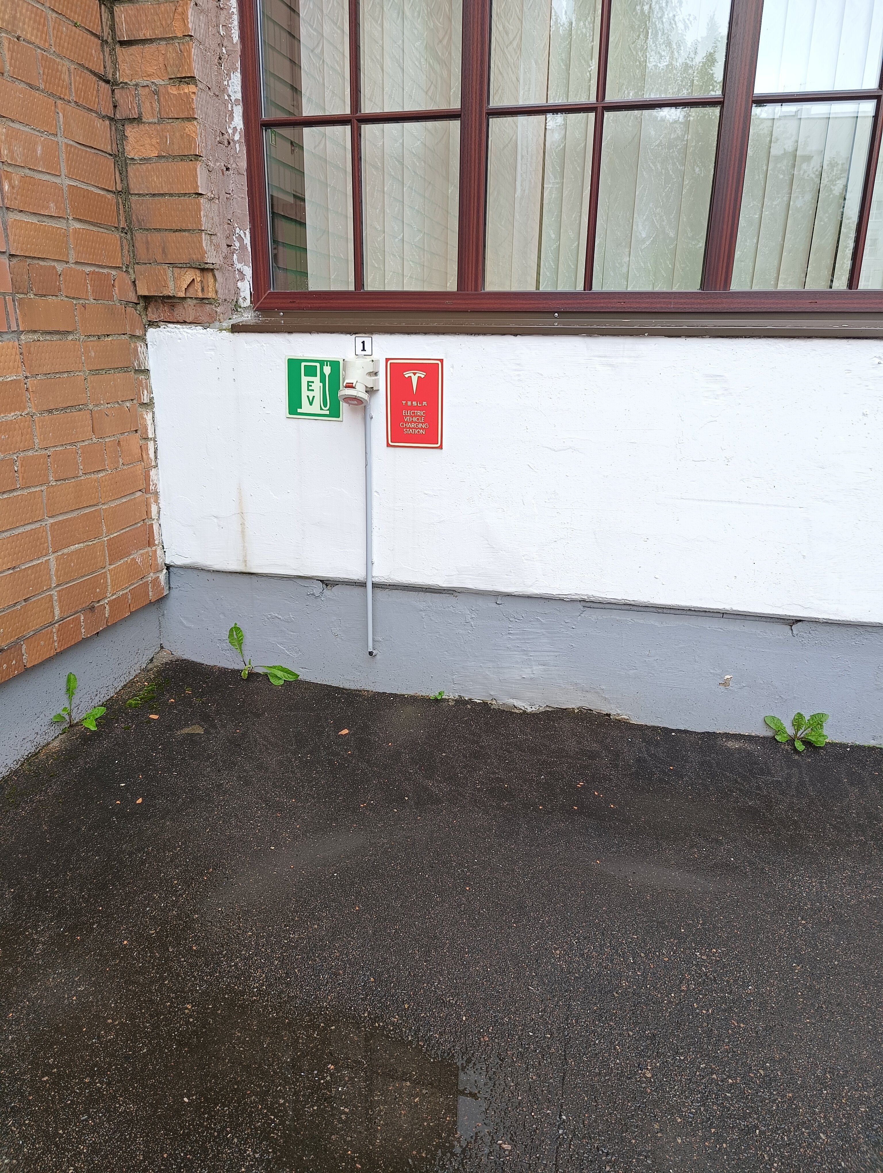 Фото Амарис