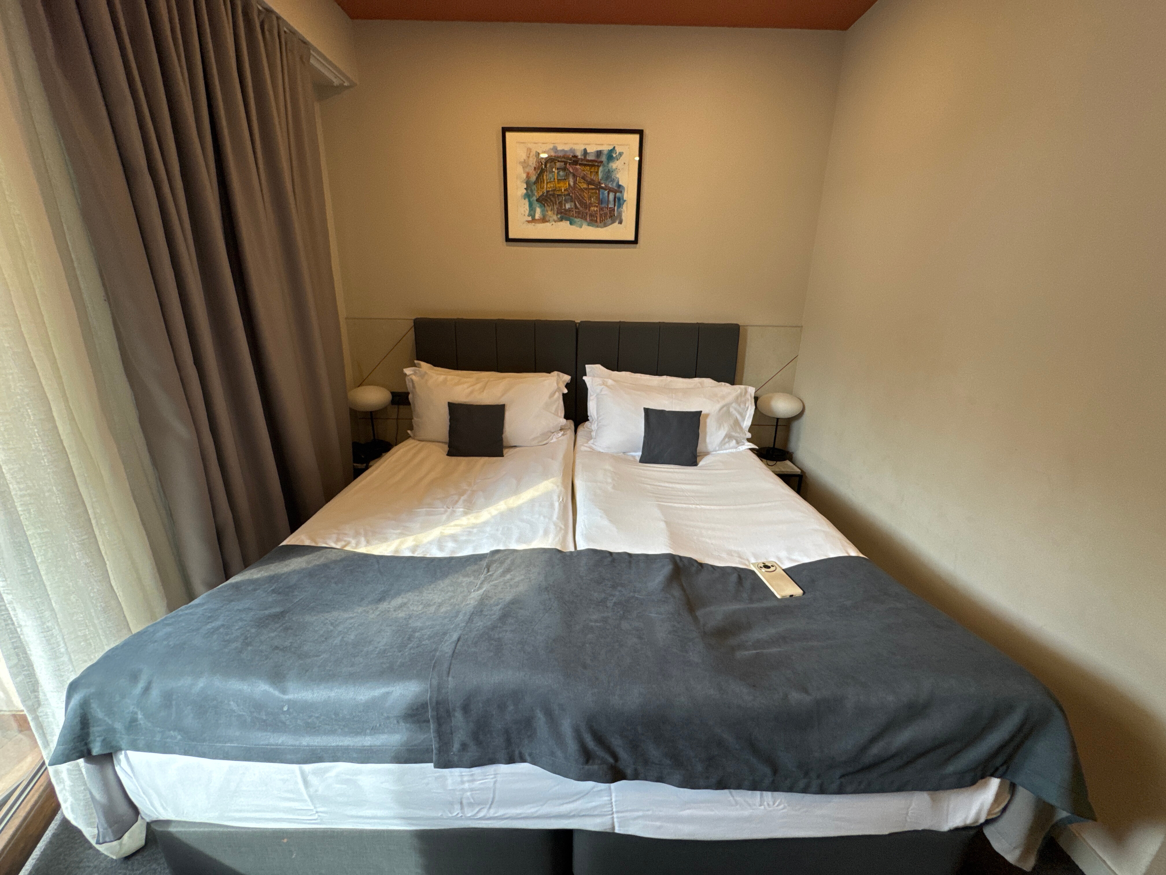 Фото Reikartz King Tamar