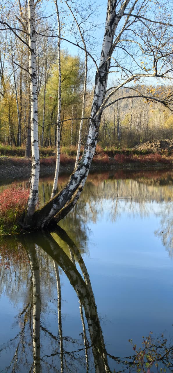Фото Оздоровительный городок Дружба