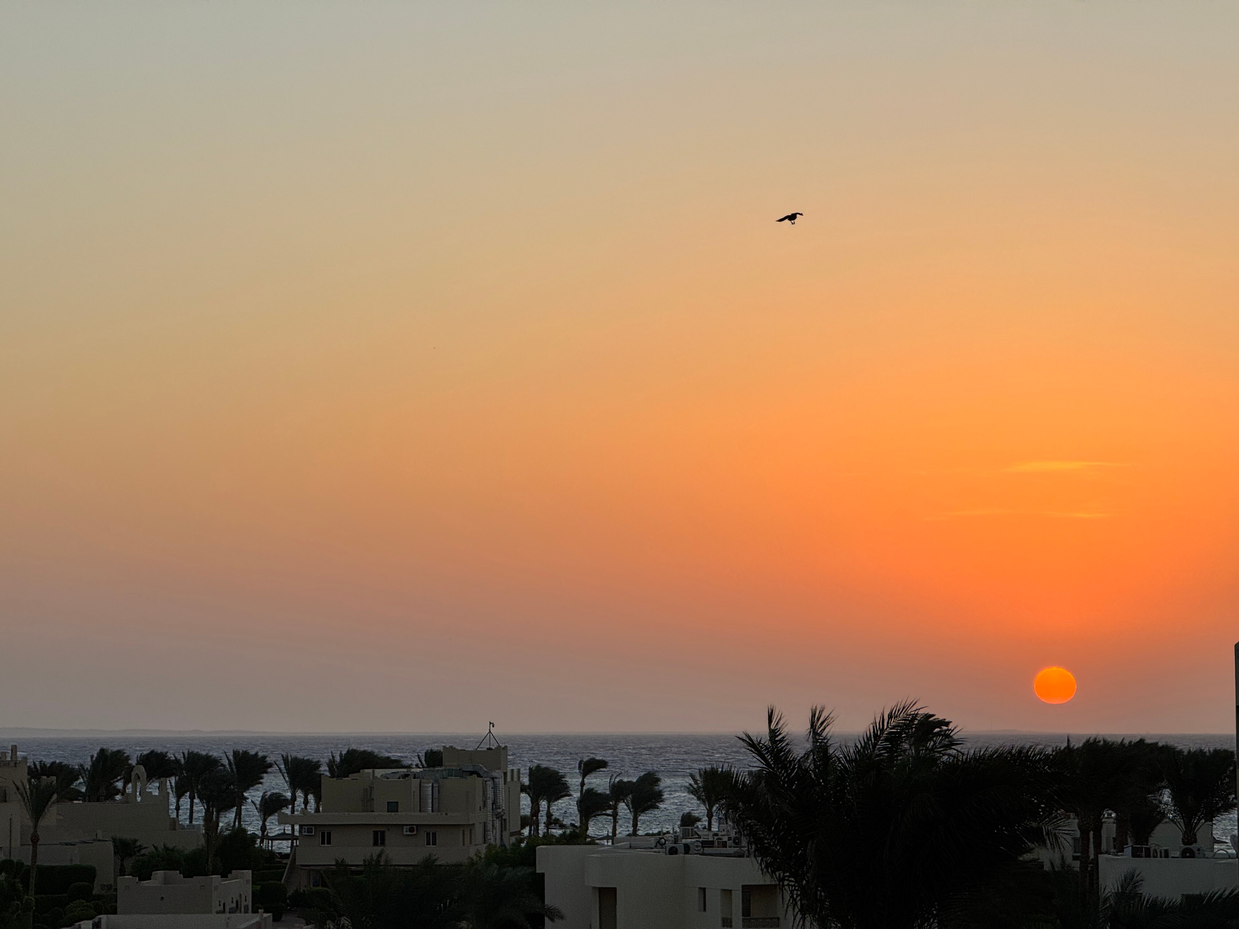 Фото Aurora Oriental Resort