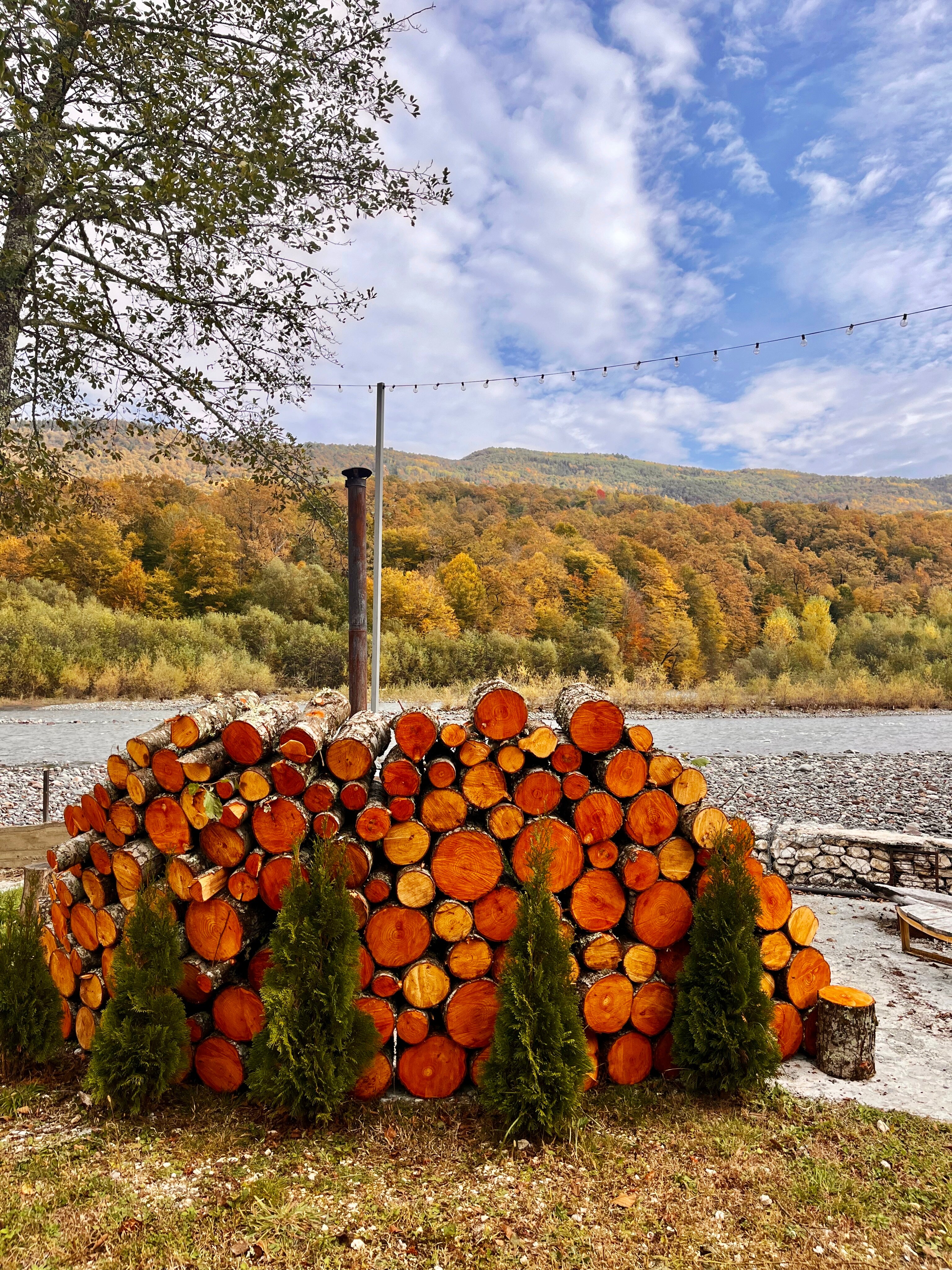 Фото Дикий дом