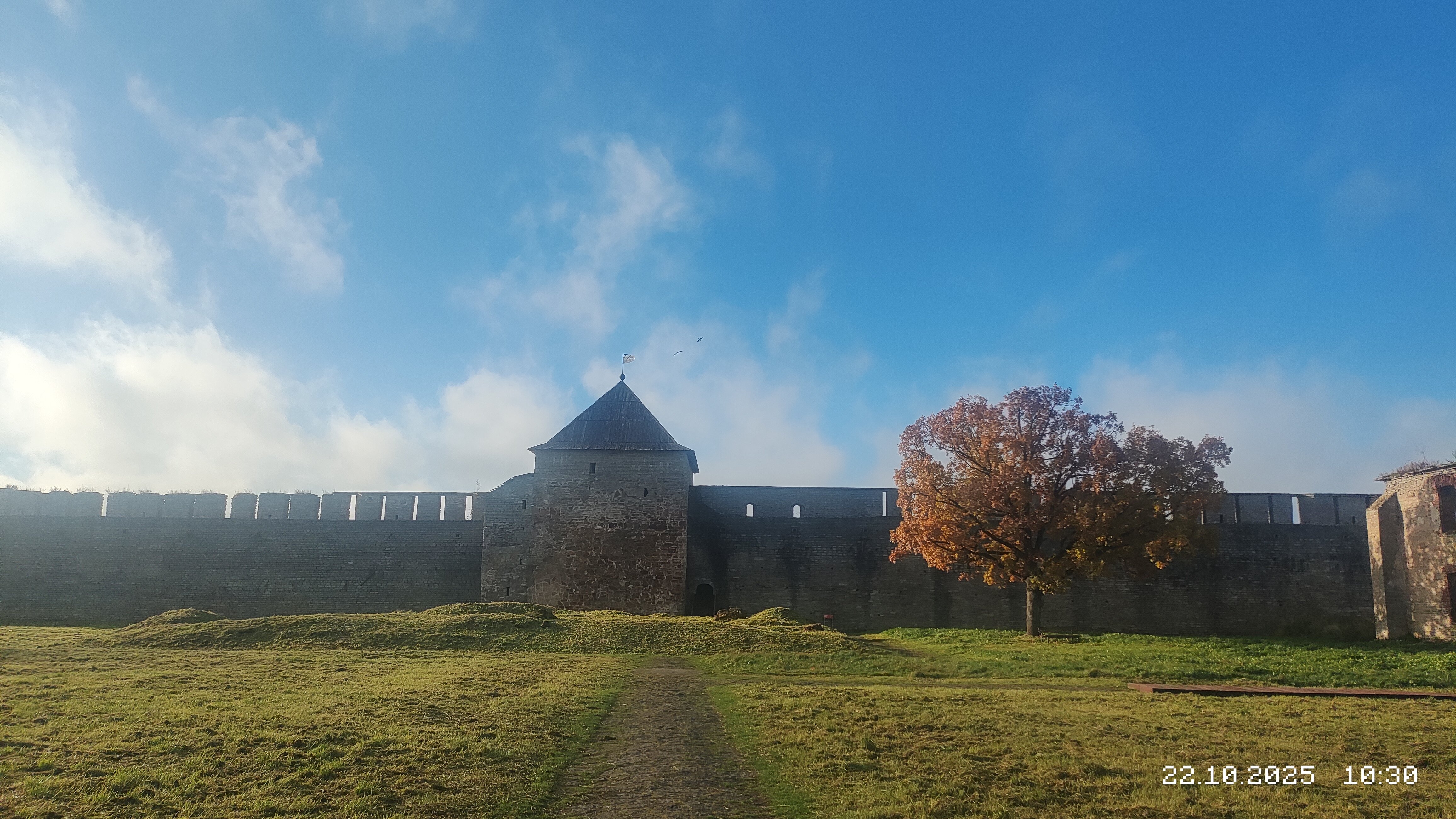 Фото Витязь