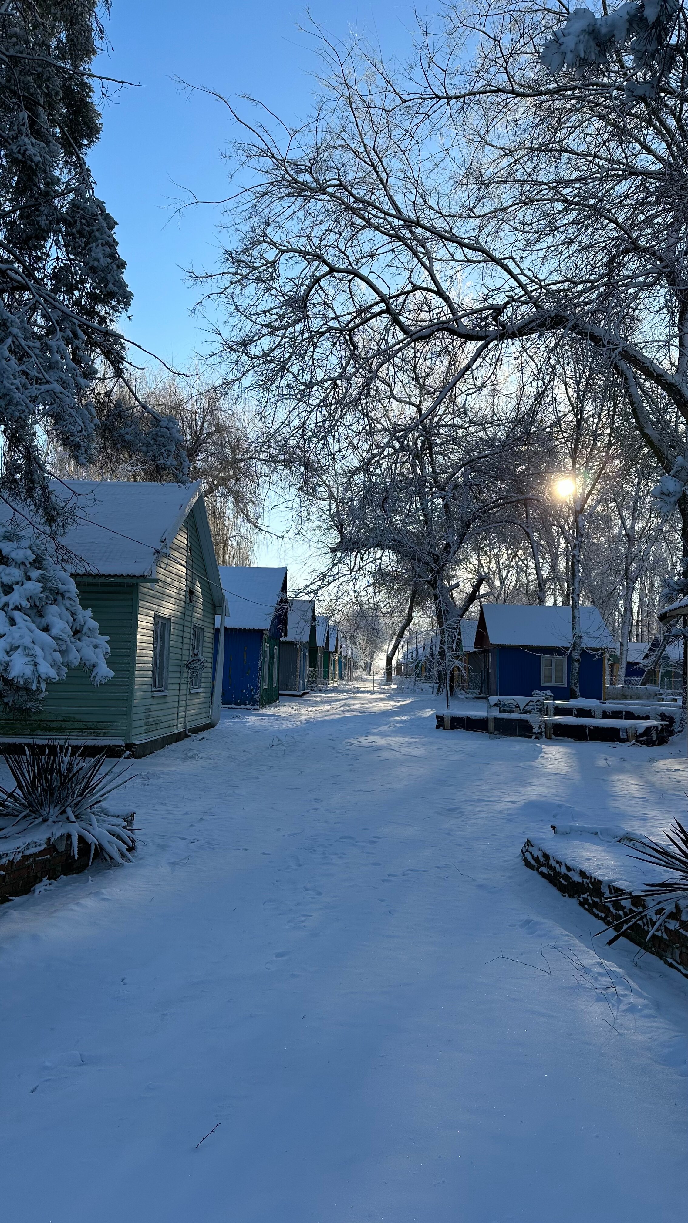 Фото Карасёвка