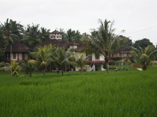 Фото Nick's Hidden Cottages