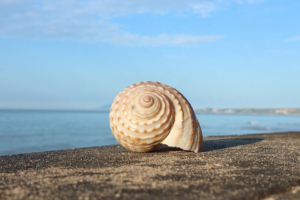 Фото Quoc Dinh Guesthouse