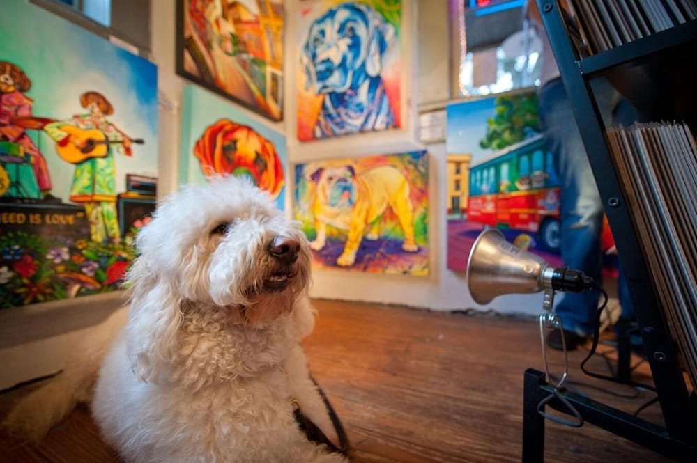 Фото Thunderbird Inn