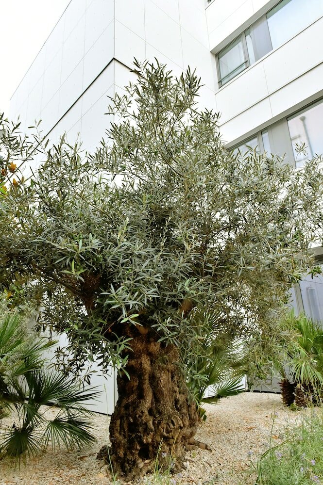 Фото Hotel Central Park