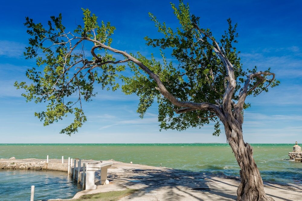 Фото La Jolla Resort