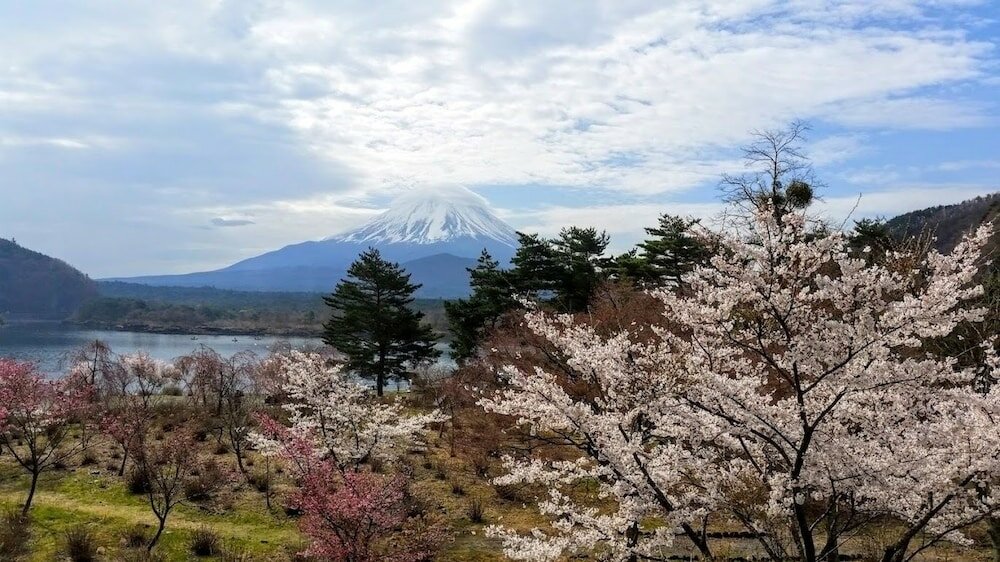 Фото Shoji Mount Hotel