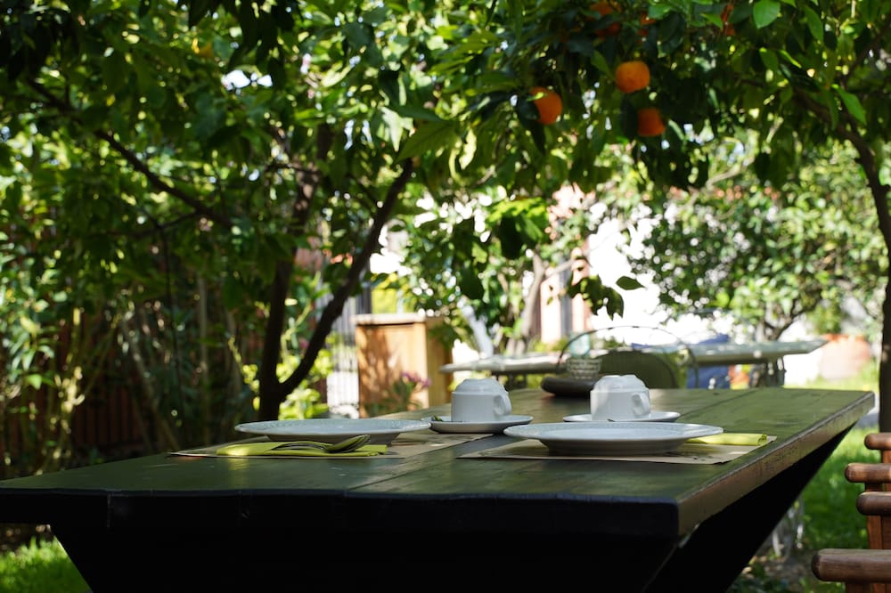 Фото Alterra Vita