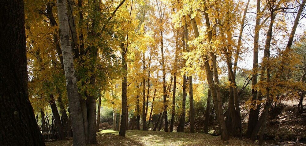 Фото Wildehondekloof