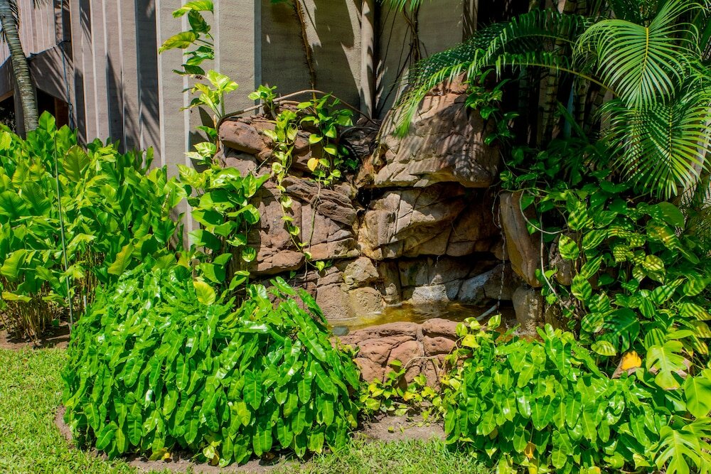 Фото Clear Essence California SPA & Wellness Resort