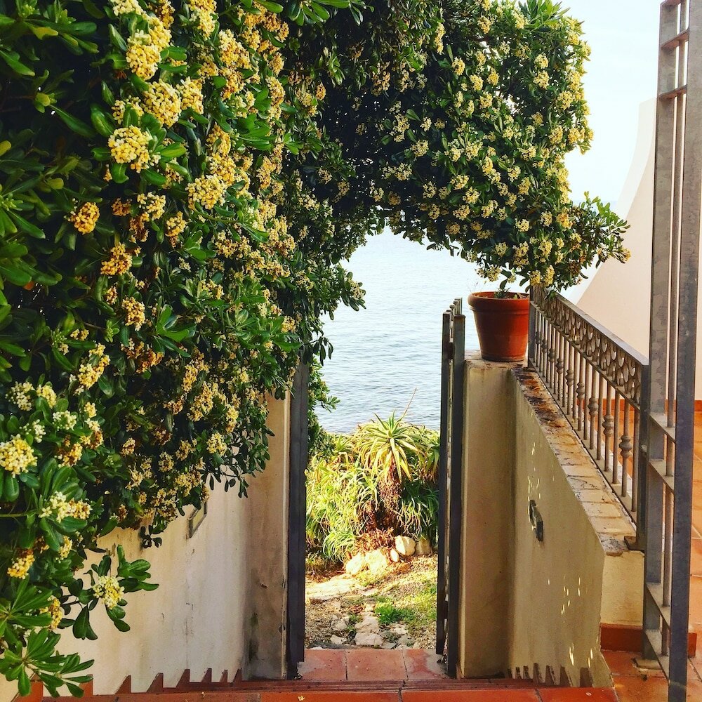 Фото Villa Grachira