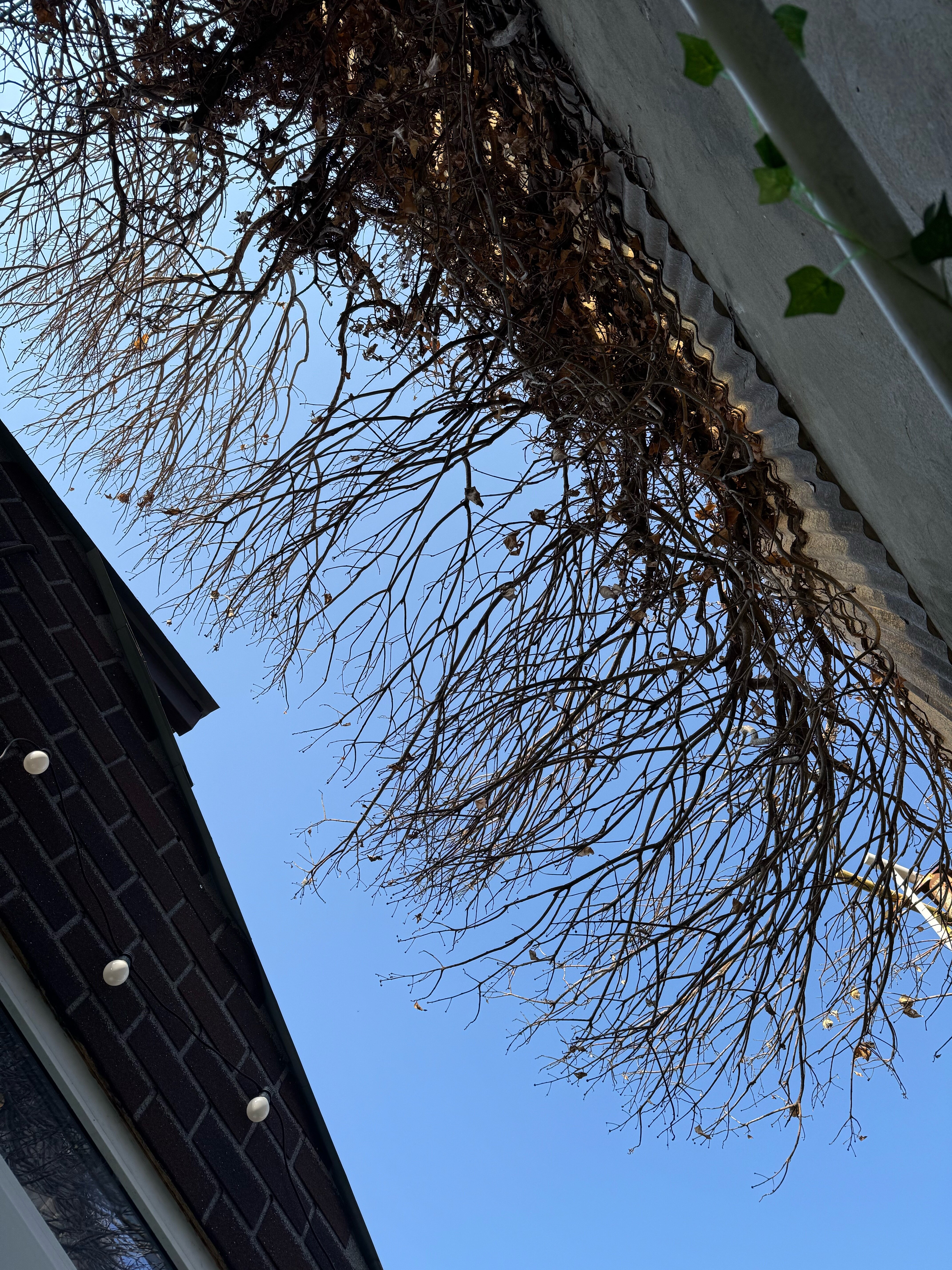 Фото Апартаменты Шале в Сочи