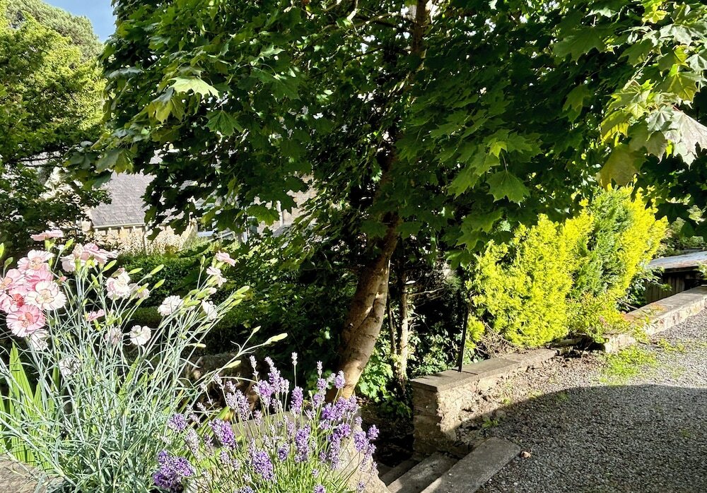 Фото Carra Beag Guest House