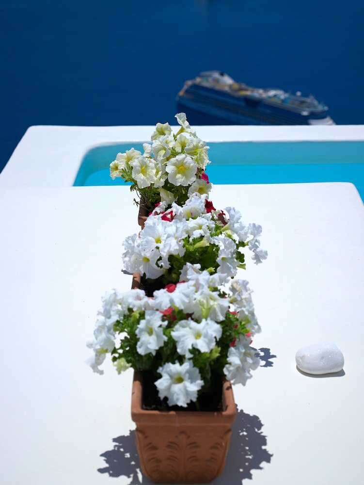 Фото Alexander Villas