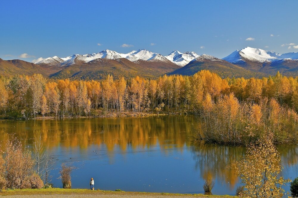 Фото SpringHill Suites Anchorage University Lake
