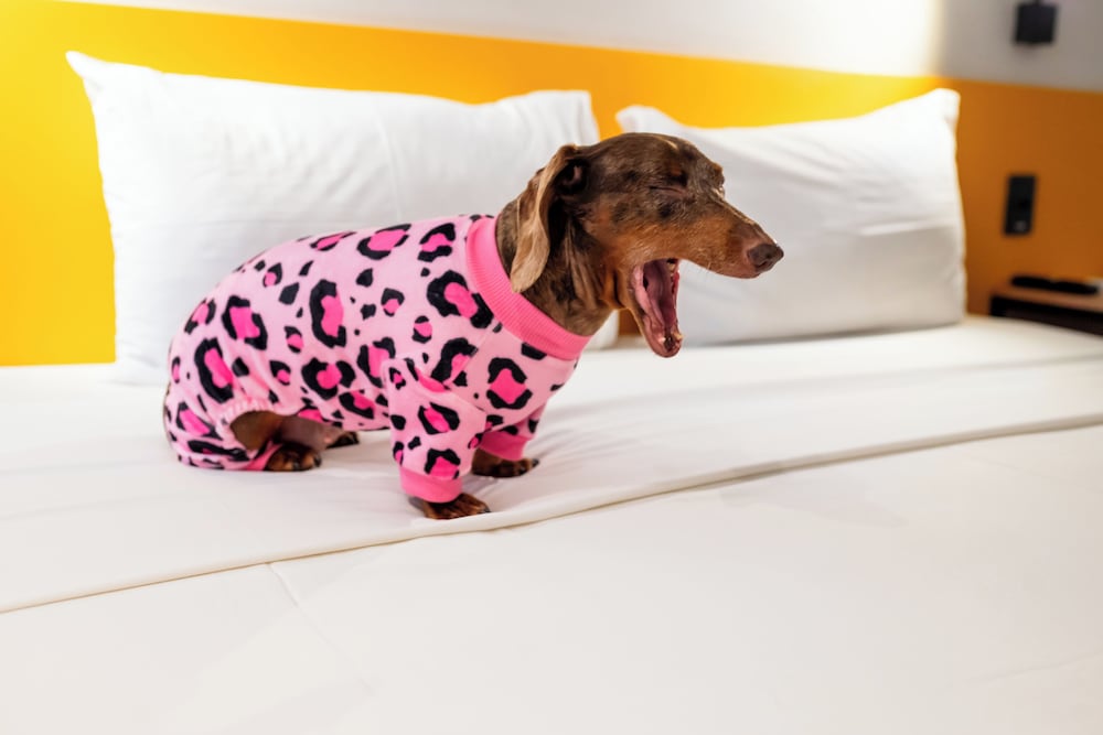 Фото Ibis Styles Belém Nazaré