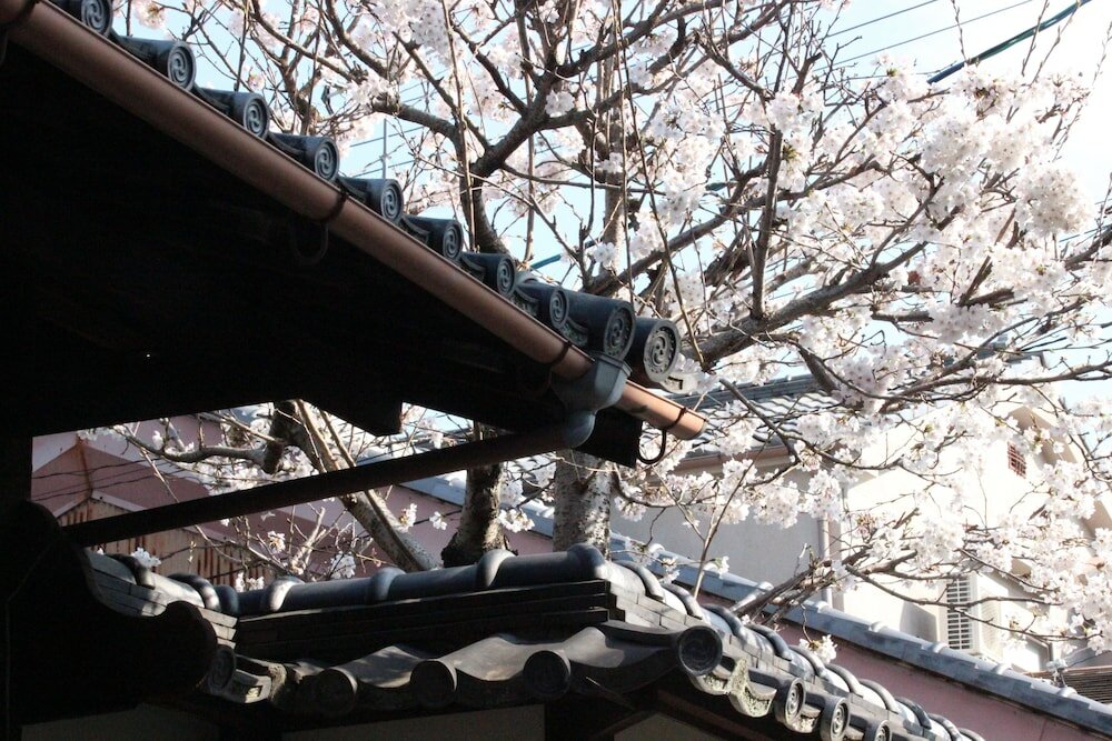 Фото Haruya Naramachi