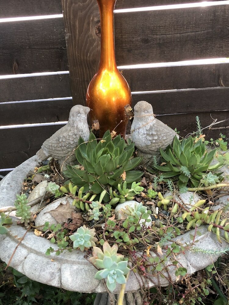 Фото Glen Ellen Inn