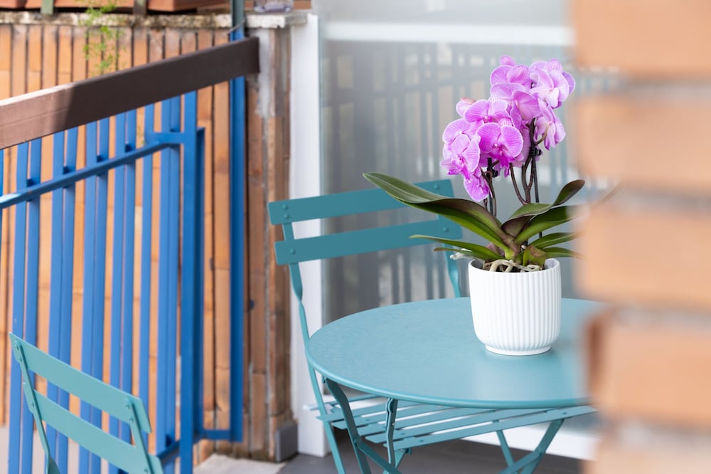 Фото Roof Garden Zaccardi